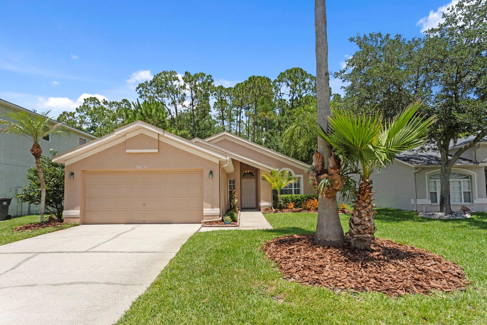 Single Family Residence em ODESSA, FL - Daniel Dourado