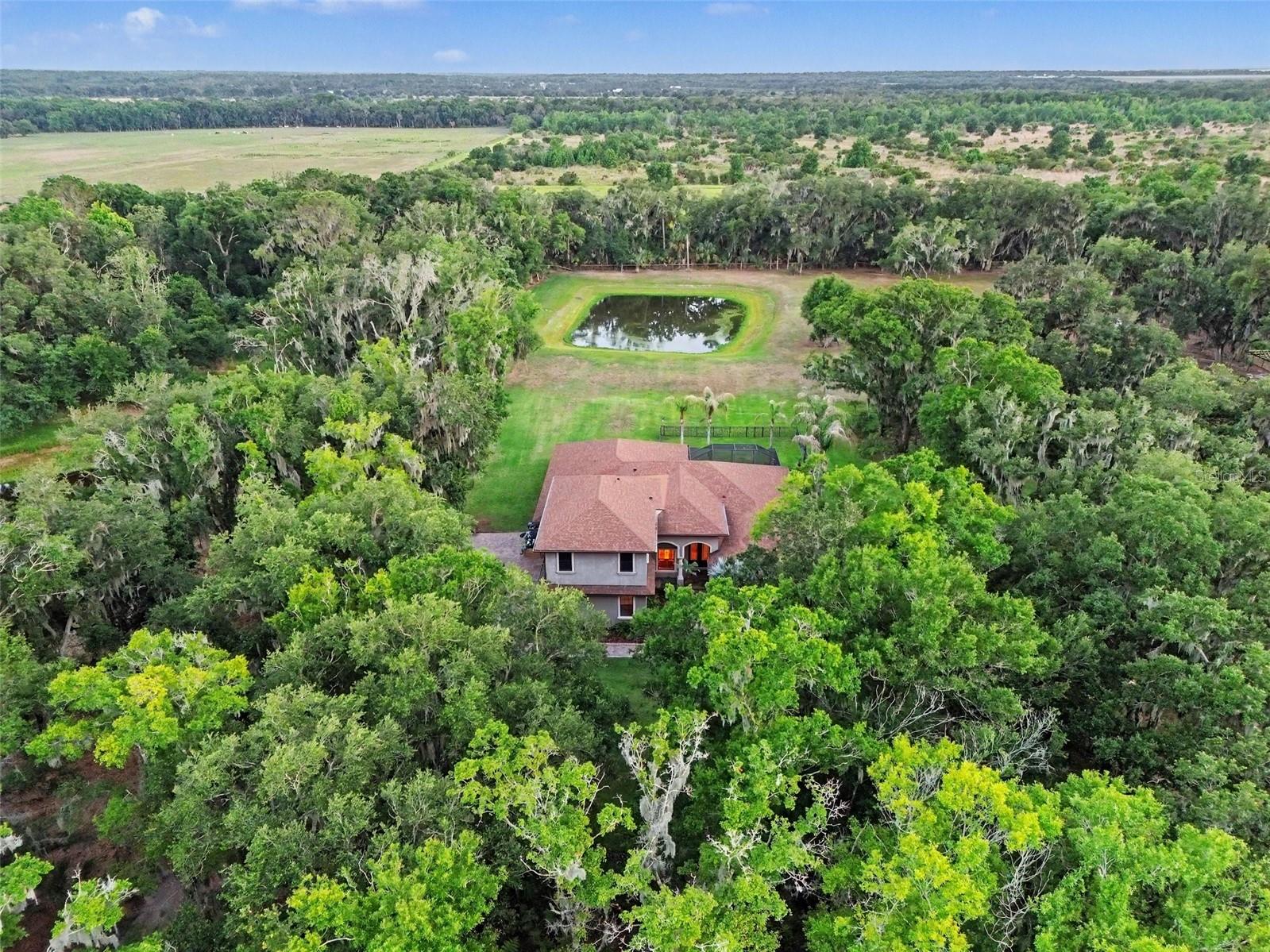 Single Family Residence em LITHIA, FL - Daniel Dourado