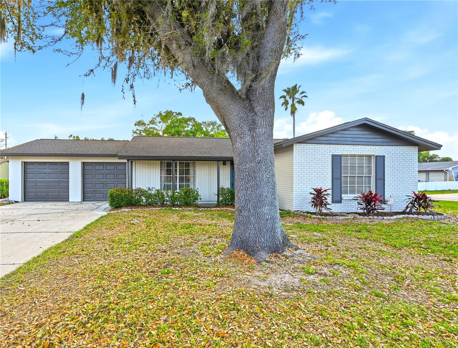 Single Family Residence em LUTZ, FL - Daniel Dourado