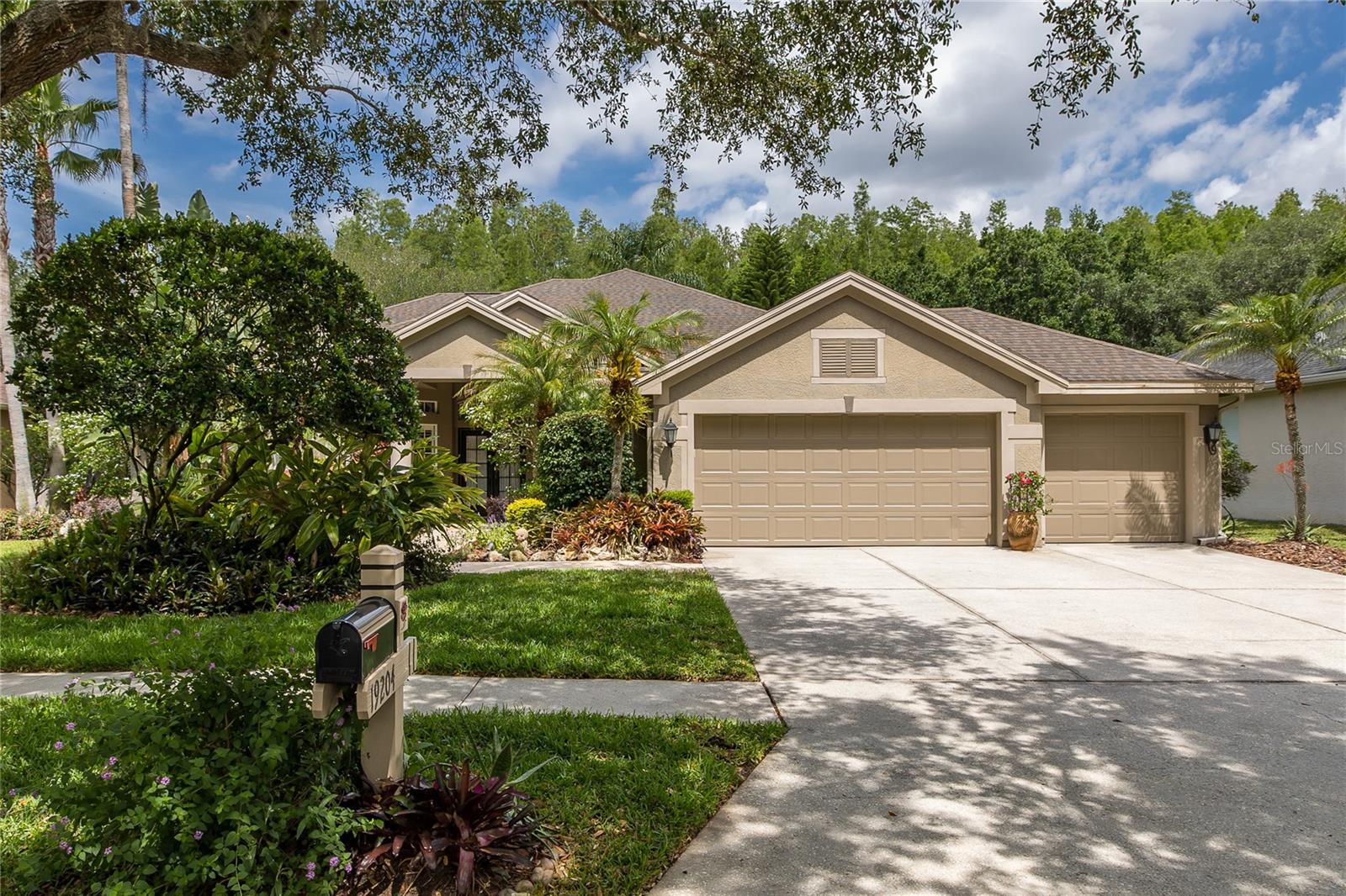 Single Family Residence em LUTZ, FL - Daniel Dourado