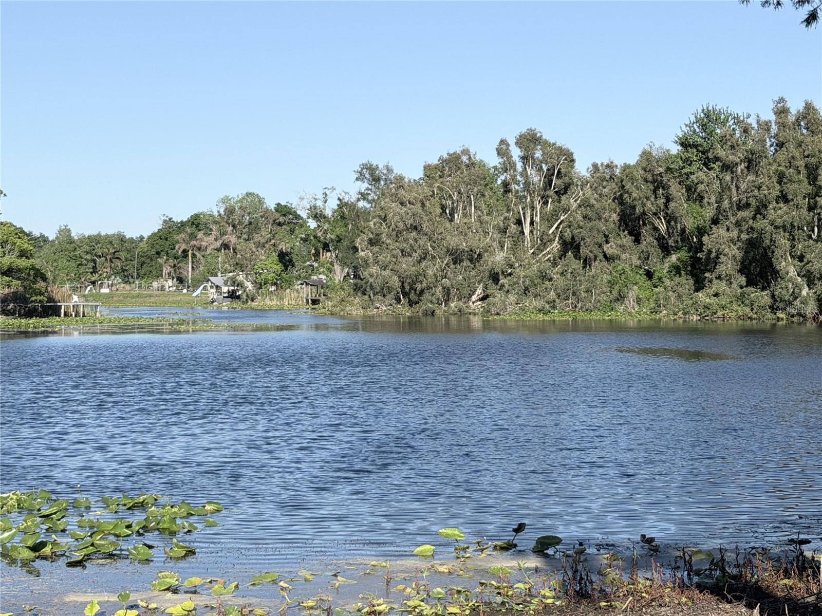 Single Family Residence em TAMPA, FL - Daniel Dourado