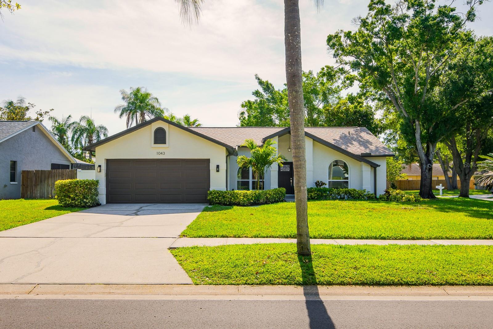 Single Family Residence em PALM HARBOR, FL - Daniel Dourado