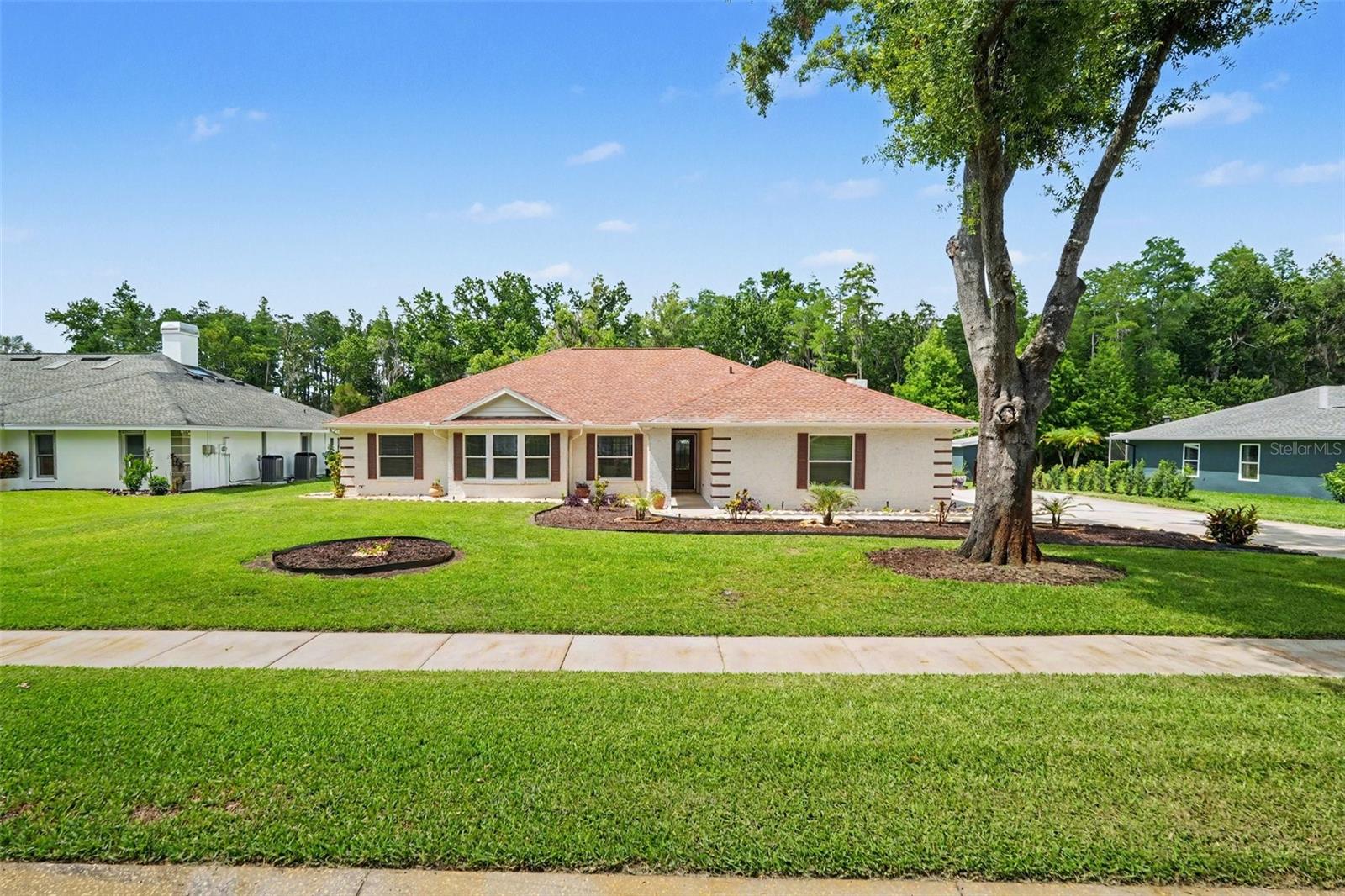 Single Family Residence em LUTZ, FL - Daniel Dourado