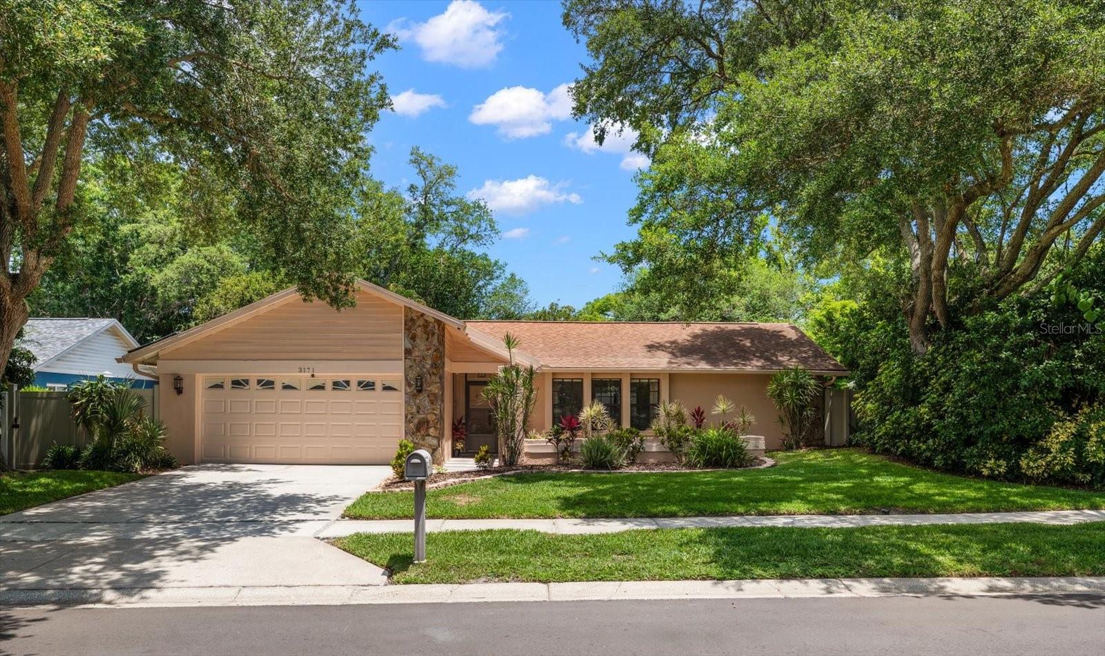 Single Family Residence em PALM HARBOR, FL - Daniel Dourado