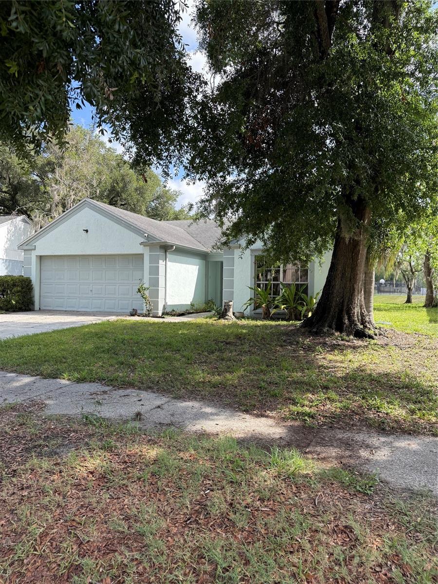 Single Family Residence em LUTZ, FL - Daniel Dourado