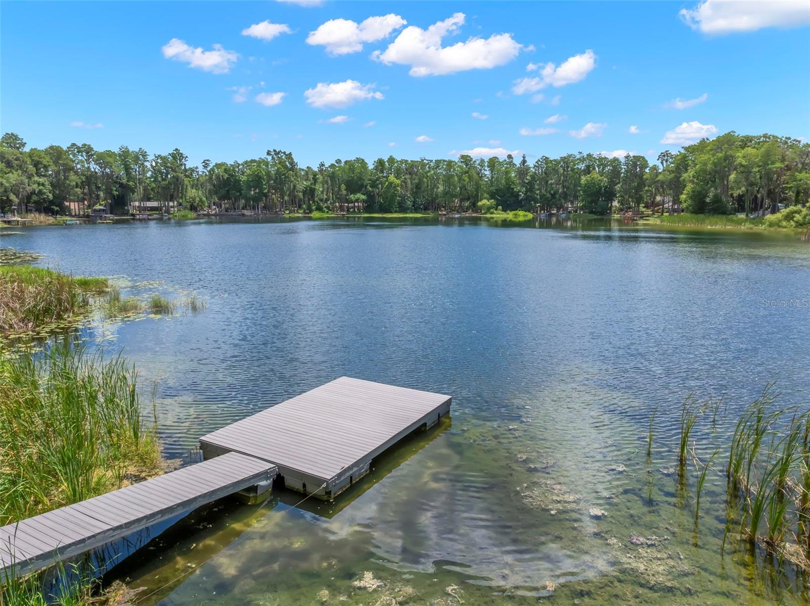 Single Family Residence em LUTZ, FL - Daniel Dourado