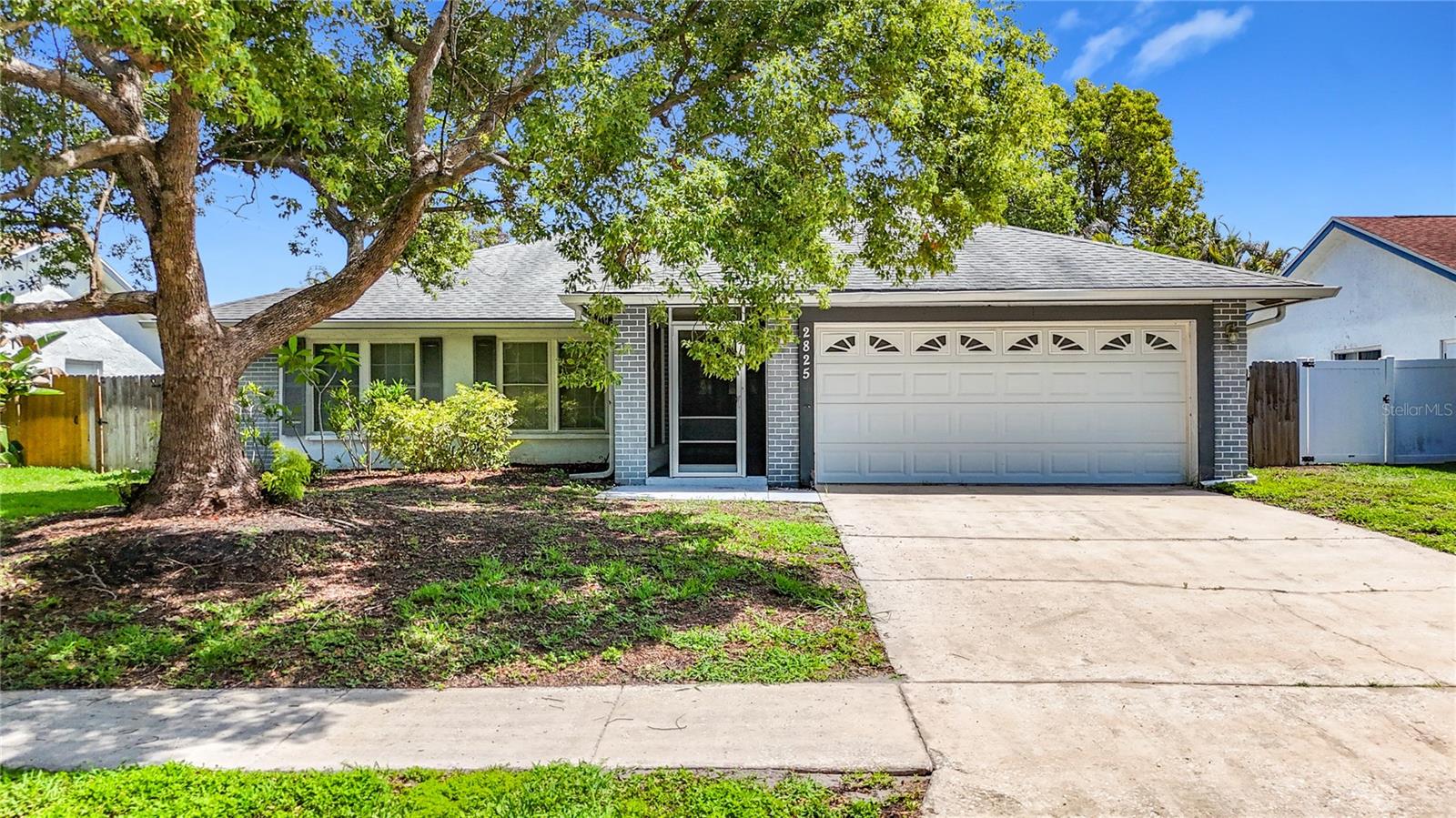 Single Family Residence em PALM HARBOR, FL - Daniel Dourado