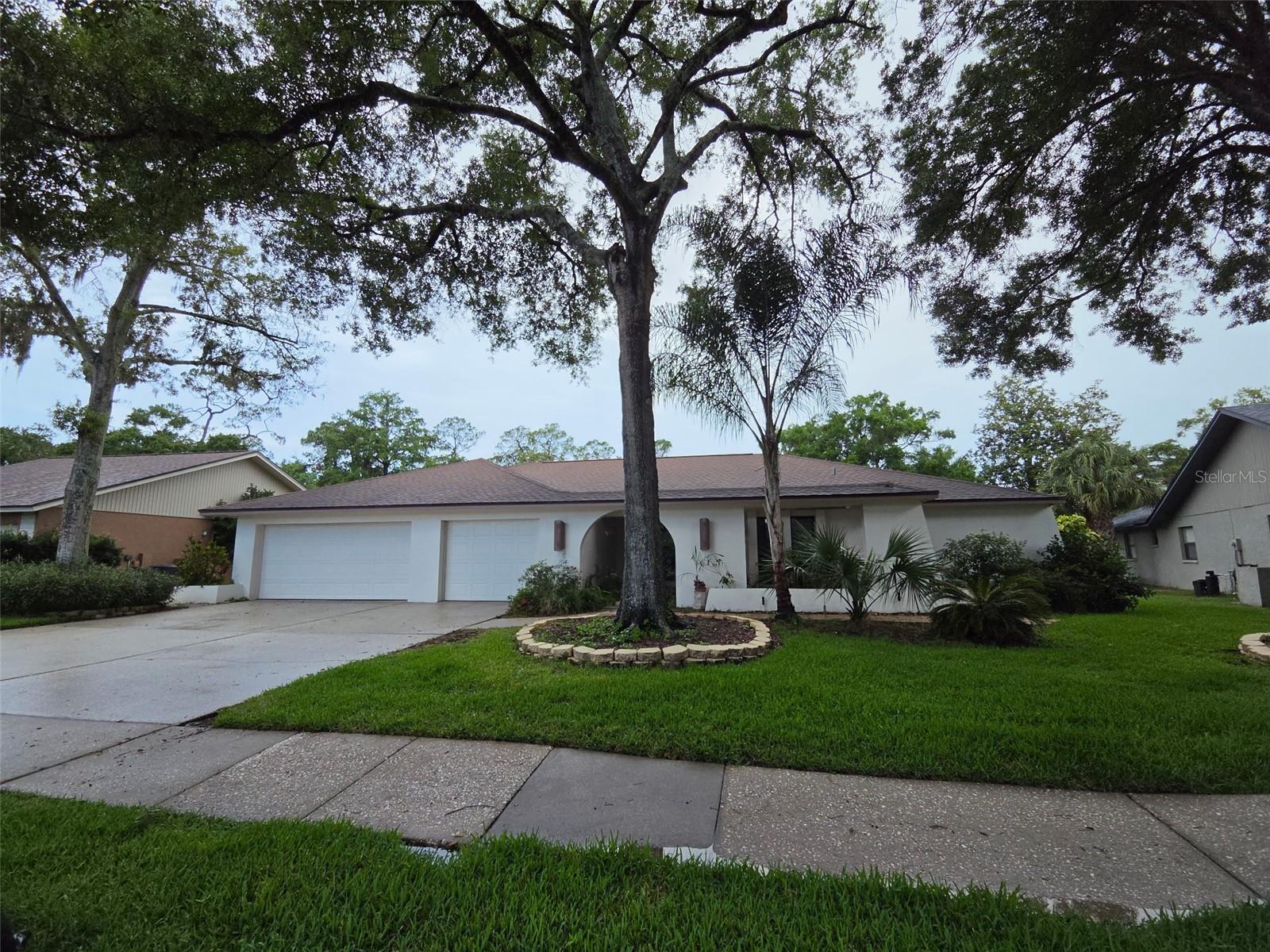 Single Family Residence in PALM HARBOR, FL - Daniel Dourado