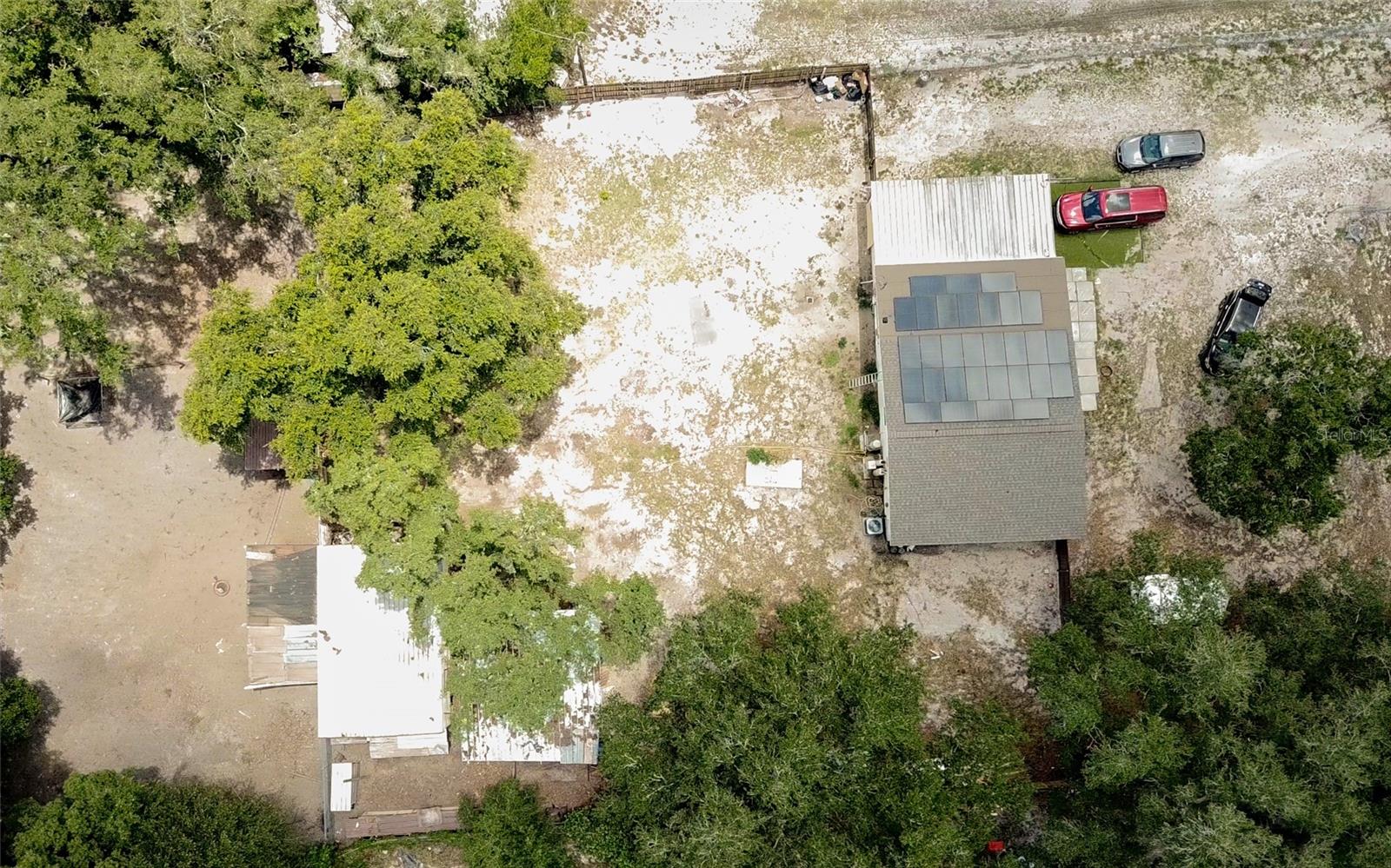 Single Family Residence in LUTZ, FL - Daniel Dourado