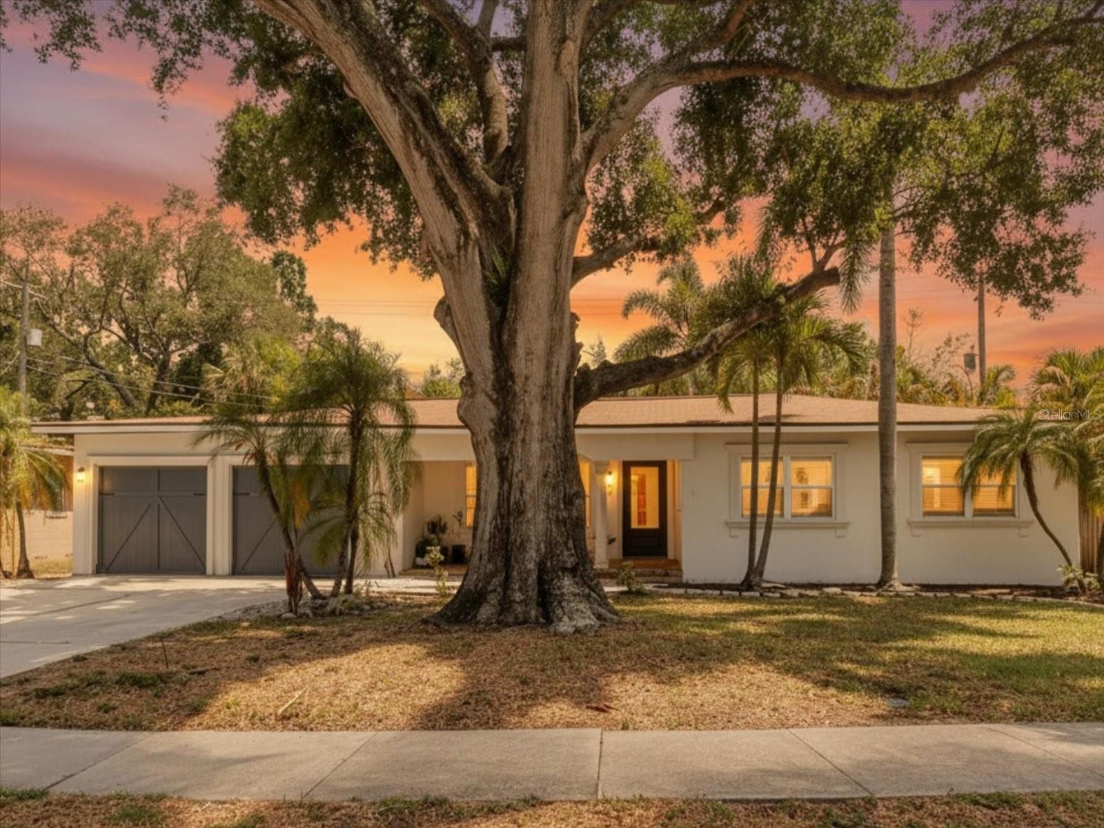 Single Family Residence em TAMPA, FL - Daniel Dourado