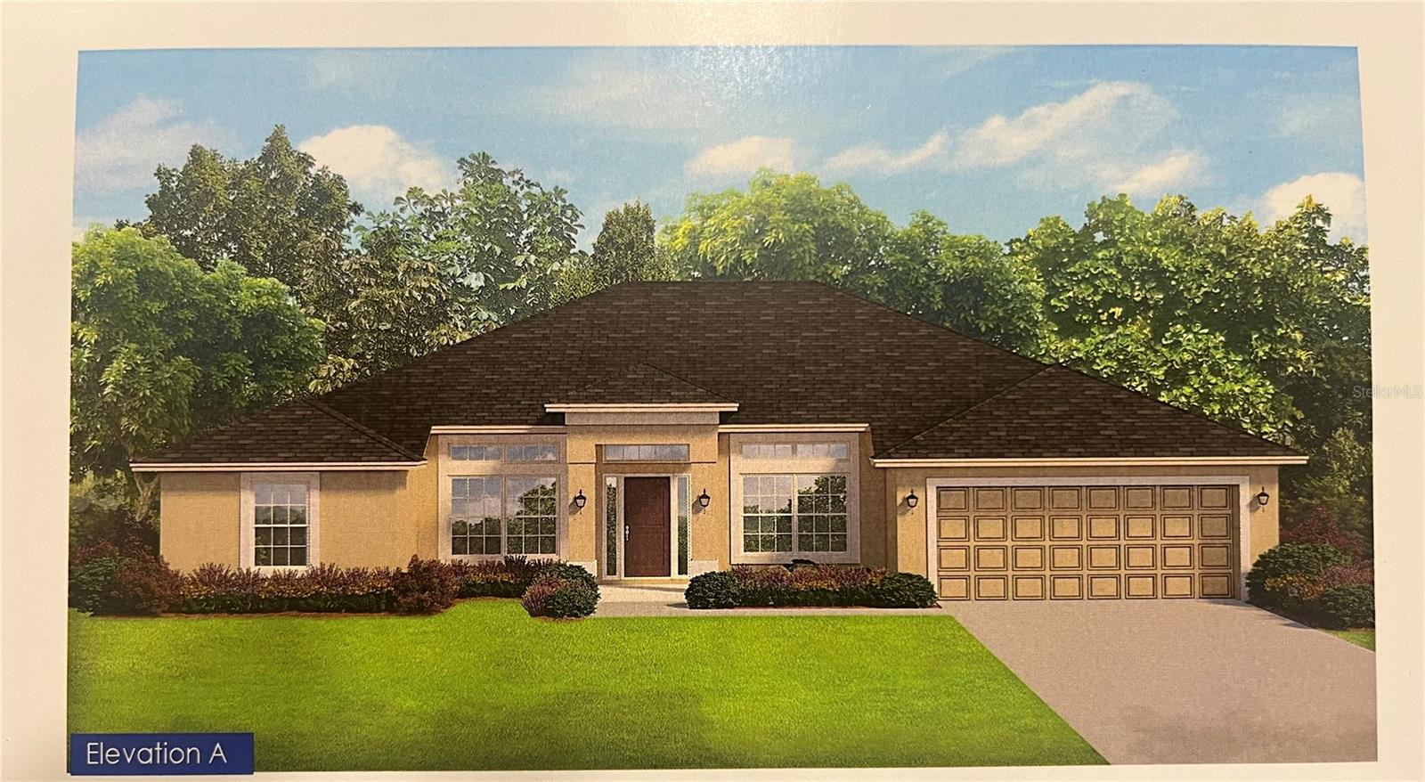 Single Family Residence in OCALA, FL - Daniel Dourado