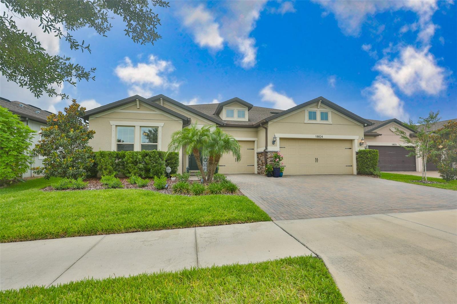 Single Family Residence in LUTZ, FL - Daniel Dourado