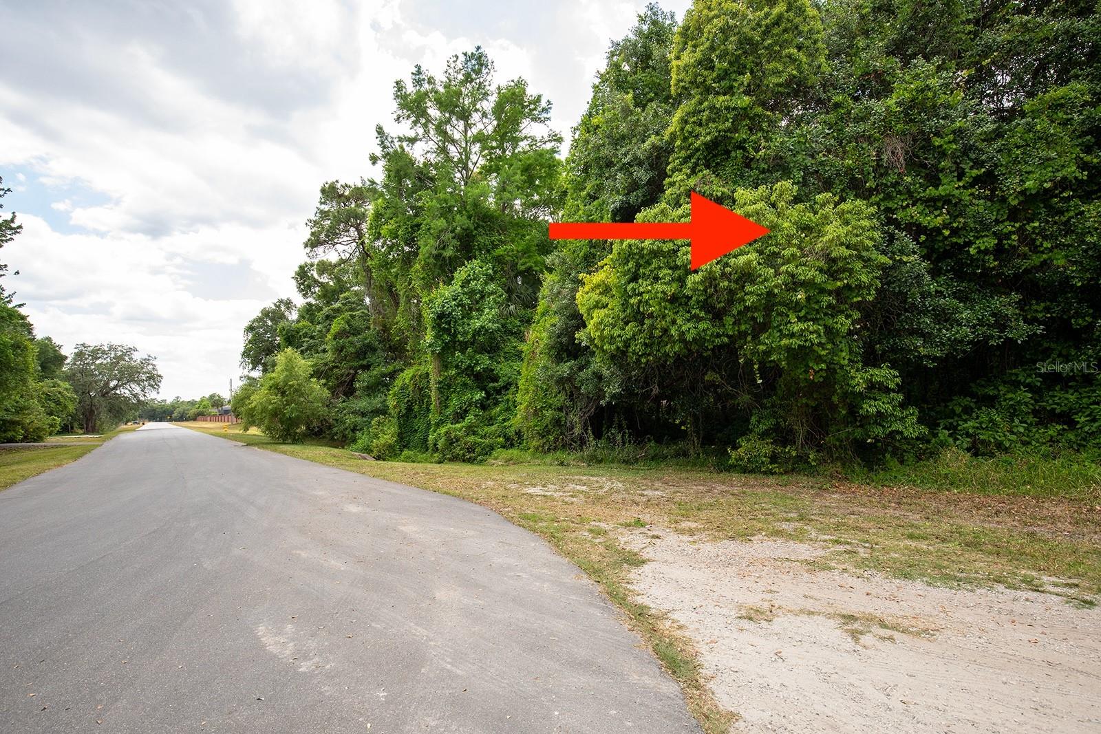  em OVIEDO, FL - Daniel Dourado