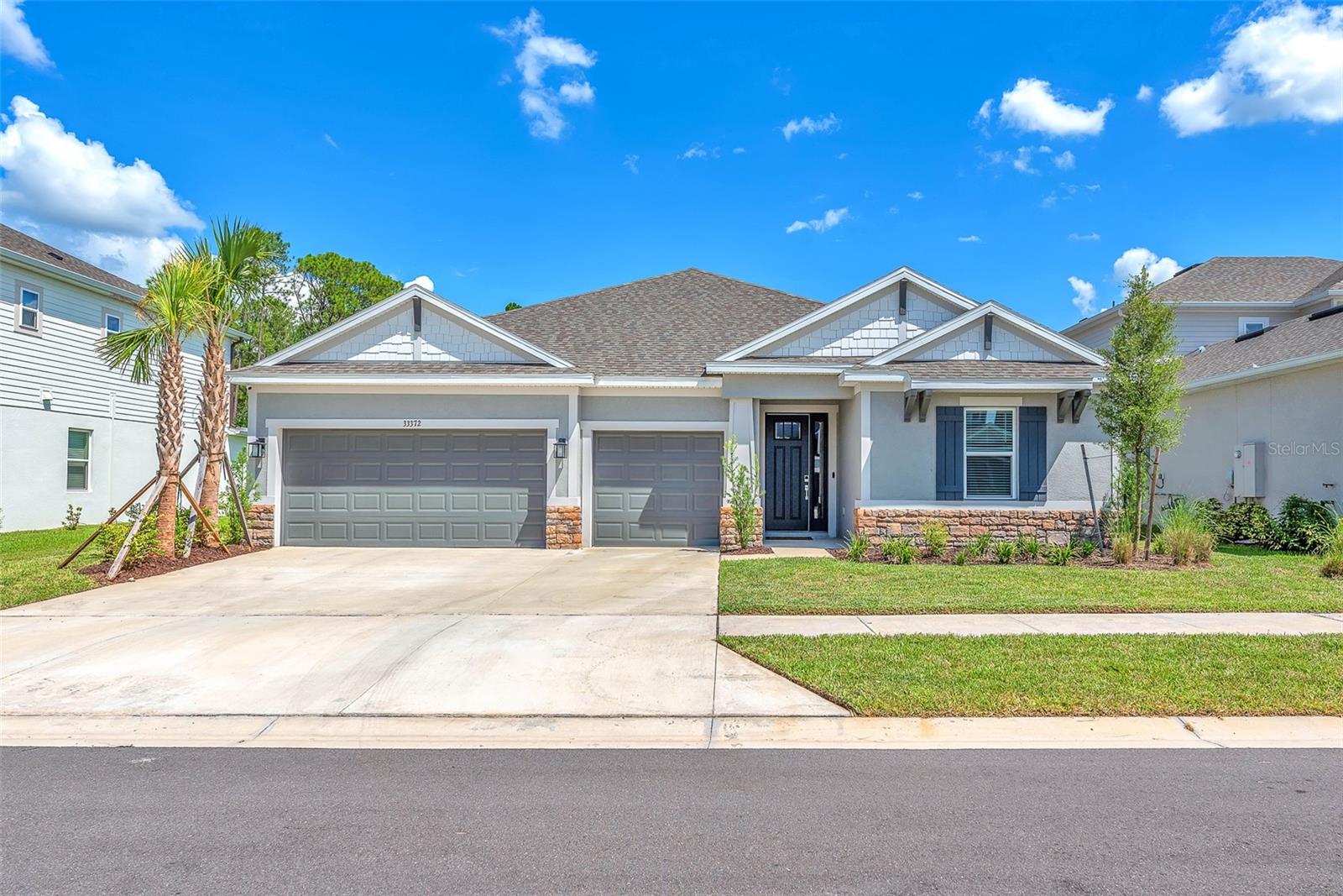 Single Family Residence in WESLEY CHAPEL, FL - Daniel Dourado