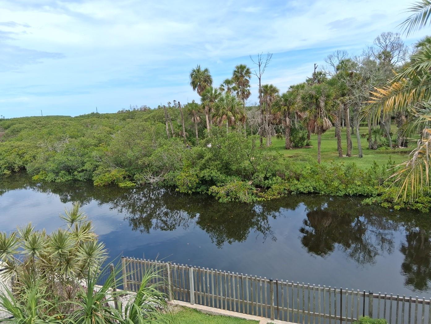 Single Family Residence in PORT RICHEY, FL - Daniel Dourado