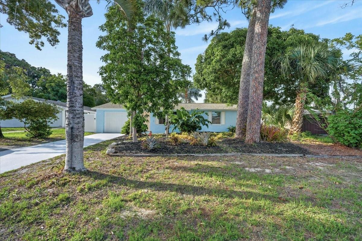 Single Family Residence in NEW PORT RICHEY, FL - Daniel Dourado