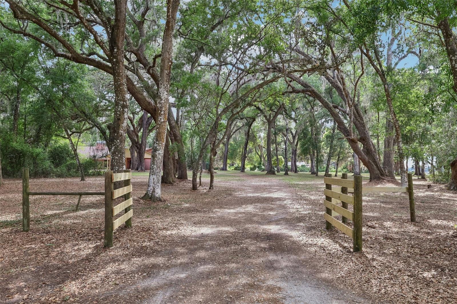 Single Family Residence em BUSHNELL, FL - Daniel Dourado