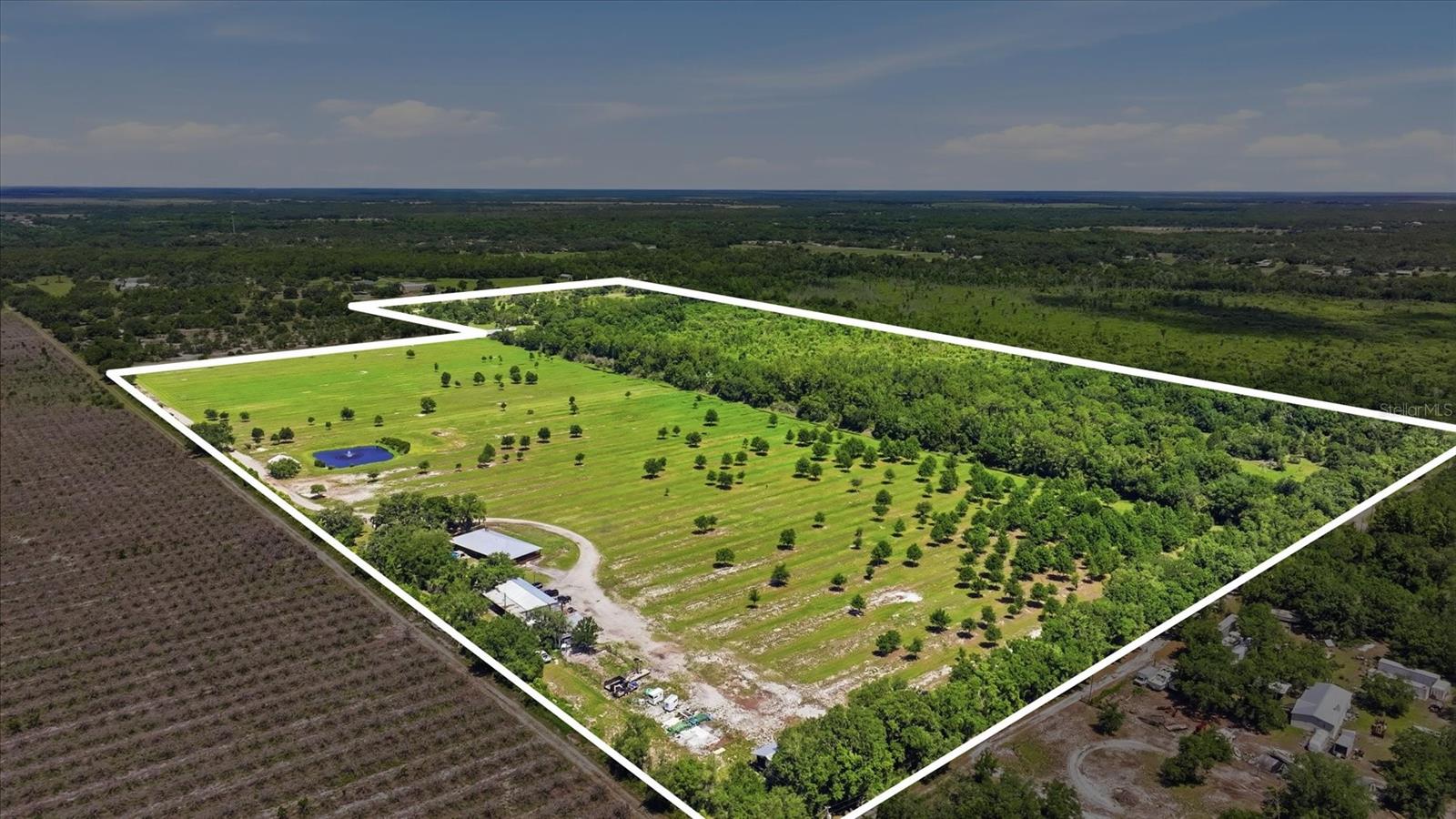 Single Family Residence in MYAKKA CITY, FL - Daniel Dourado