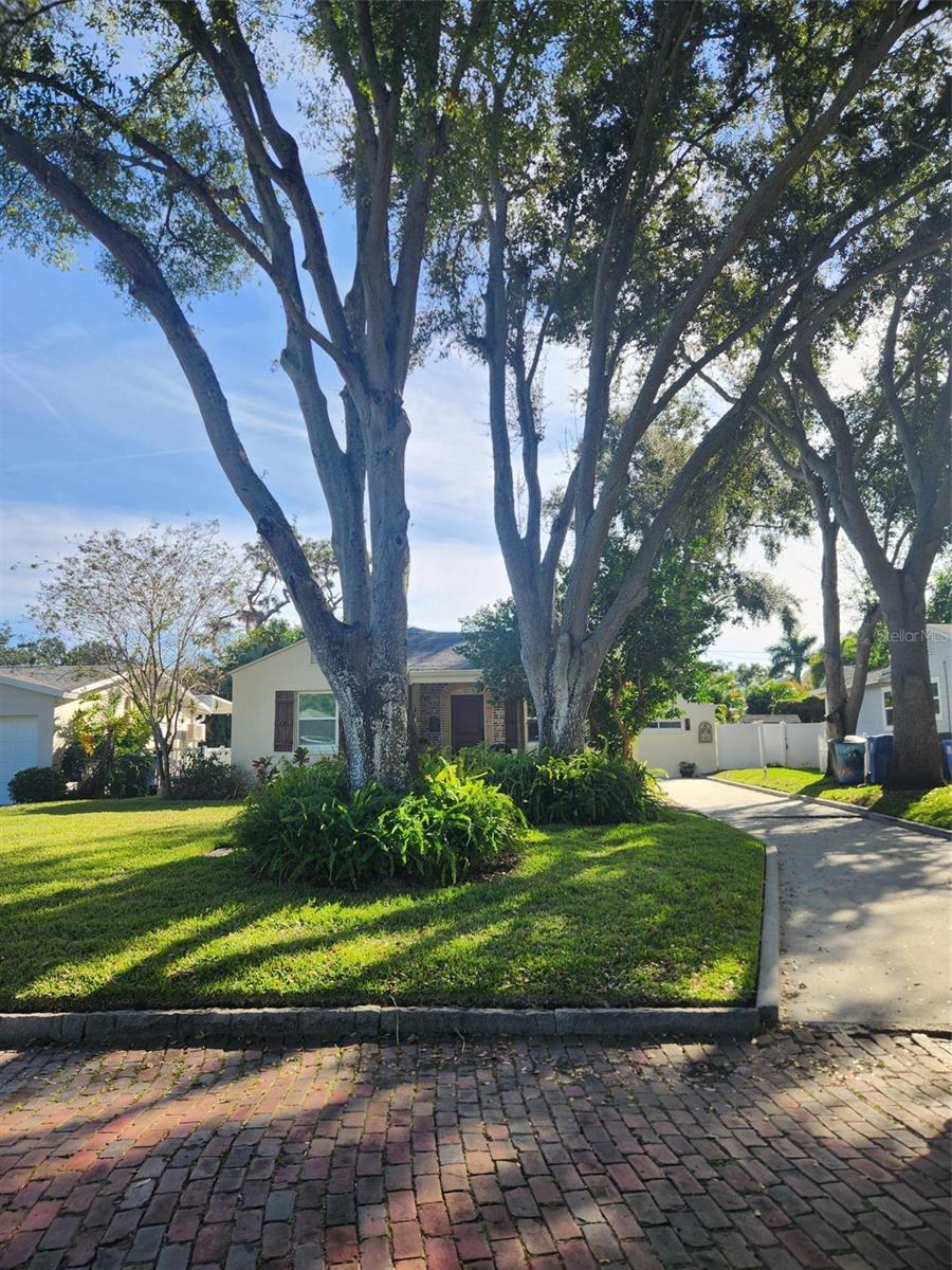 Single Family Residence em ST PETERSBURG, FL - Daniel Dourado