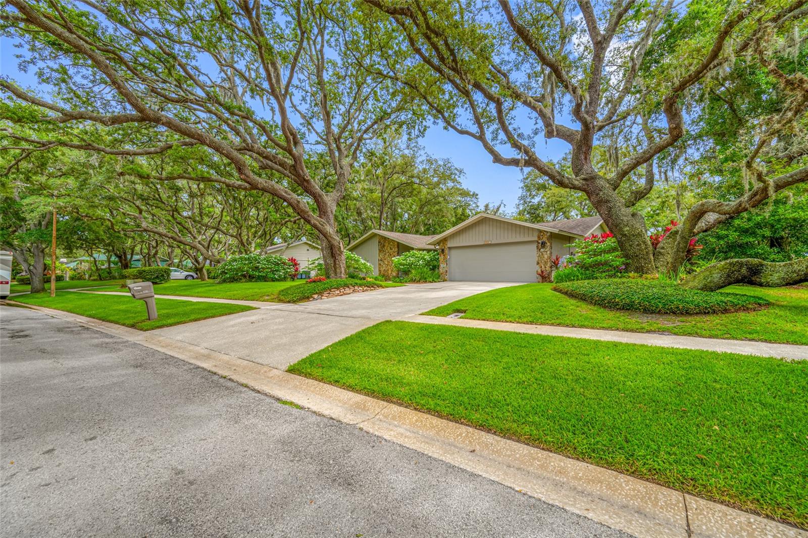 Single Family Residence em CLEARWATER, FL - Daniel Dourado