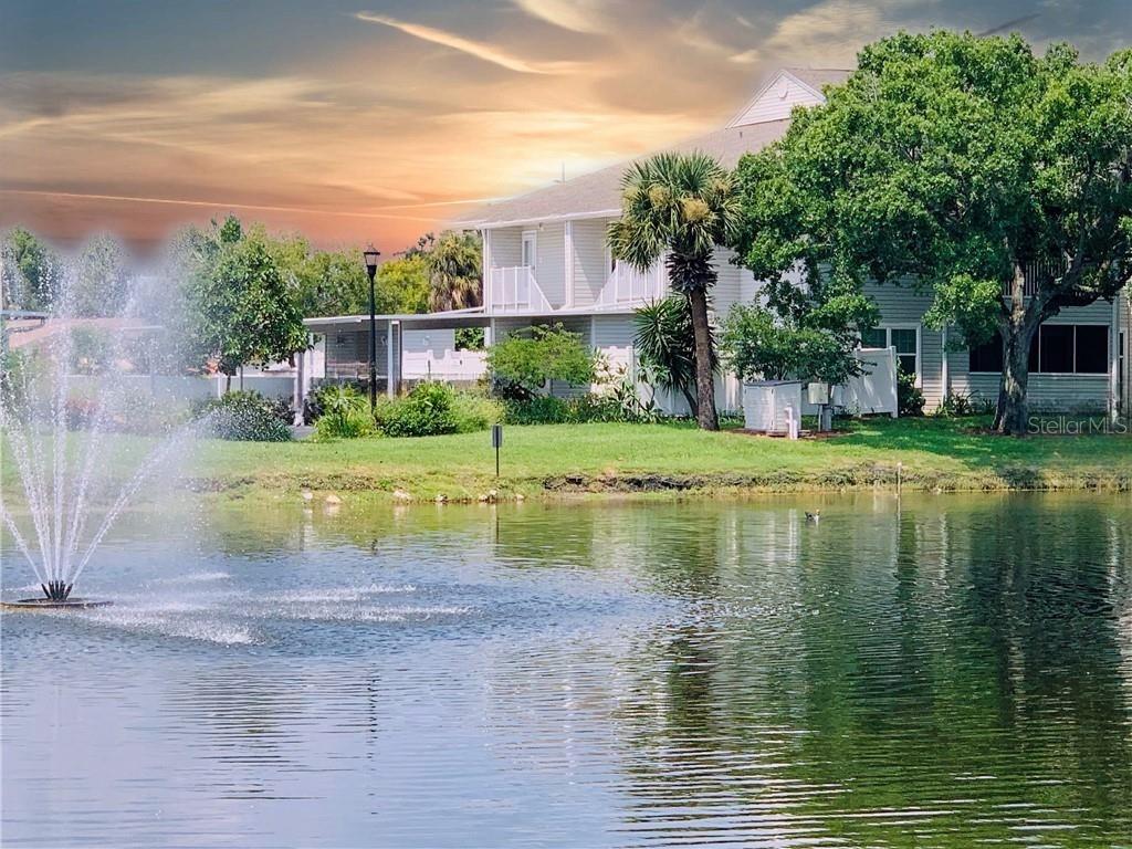 Condominium in TAMPA, FL - Daniel Dourado