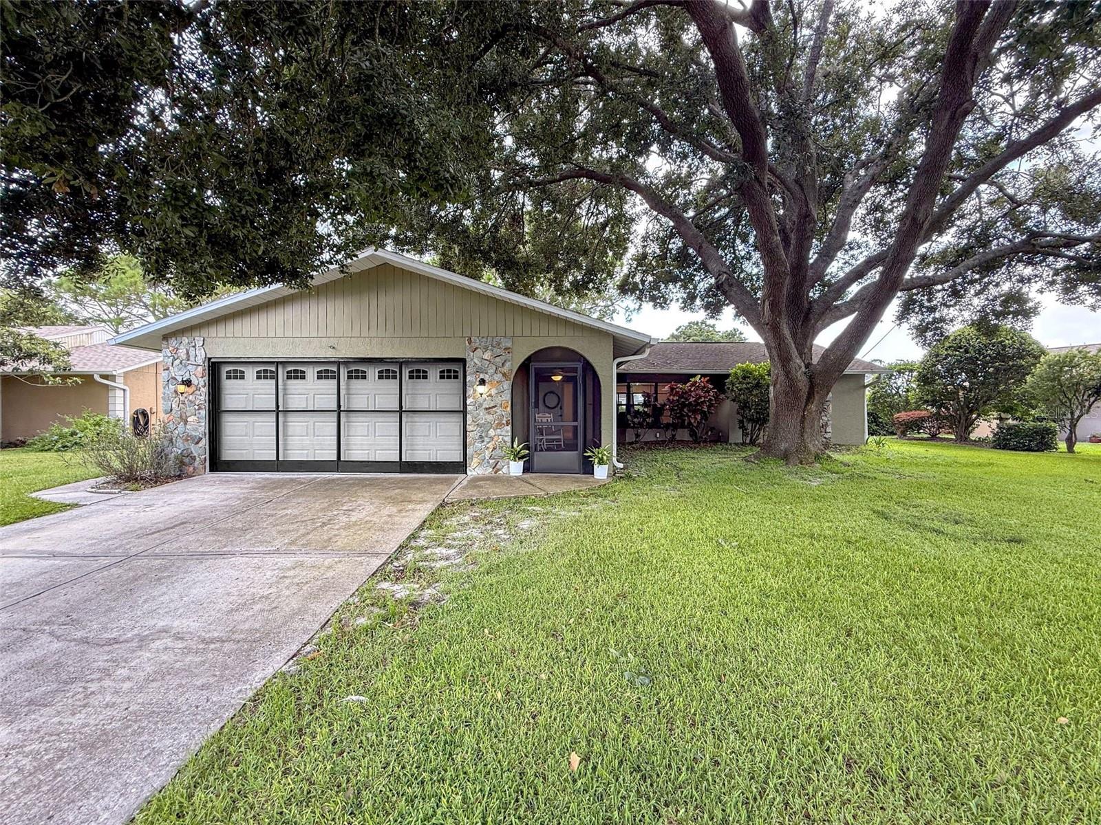 Single Family Residence in NEW PORT RICHEY, FL - Daniel Dourado