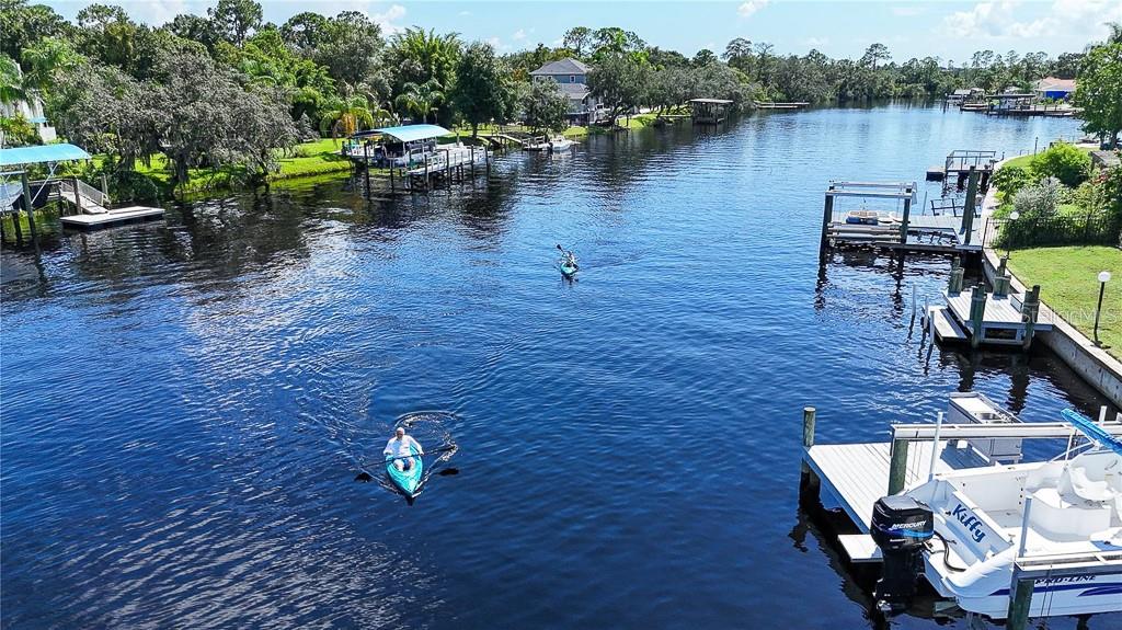 Single Family Residence in NEW PORT RICHEY, FL - Daniel Dourado