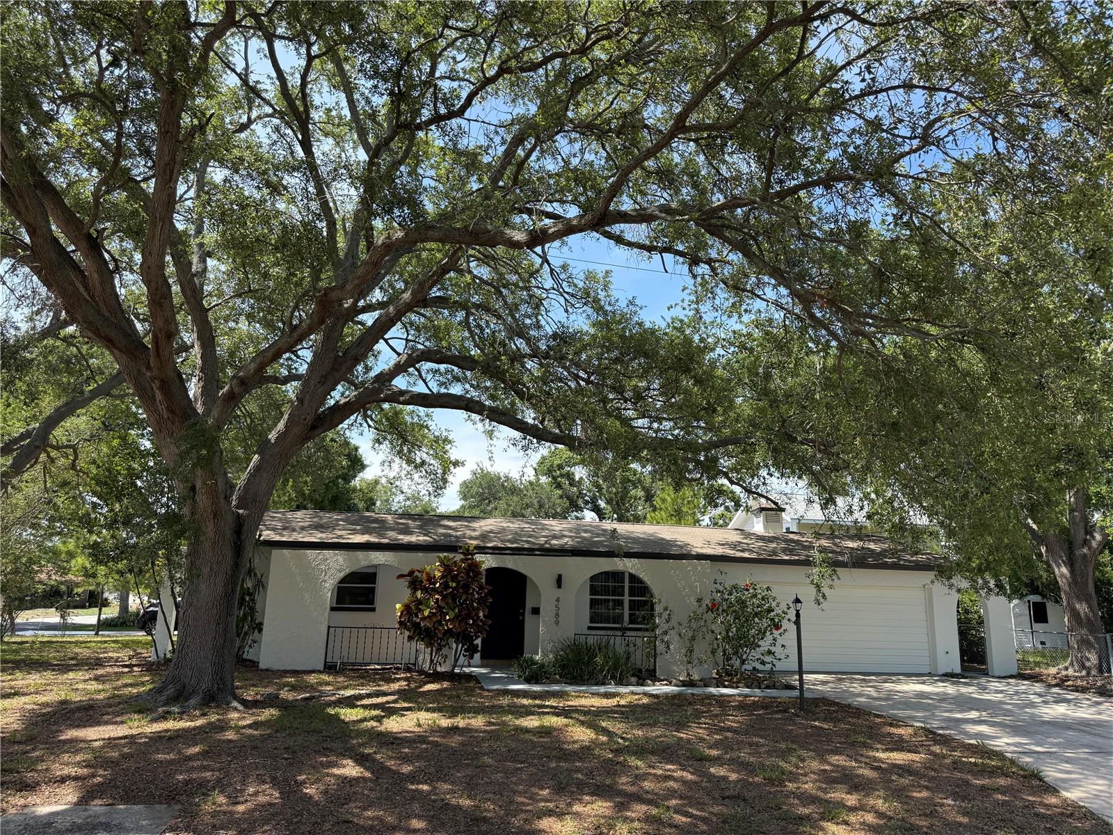Single Family Residence em ST PETERSBURG, FL - Daniel Dourado