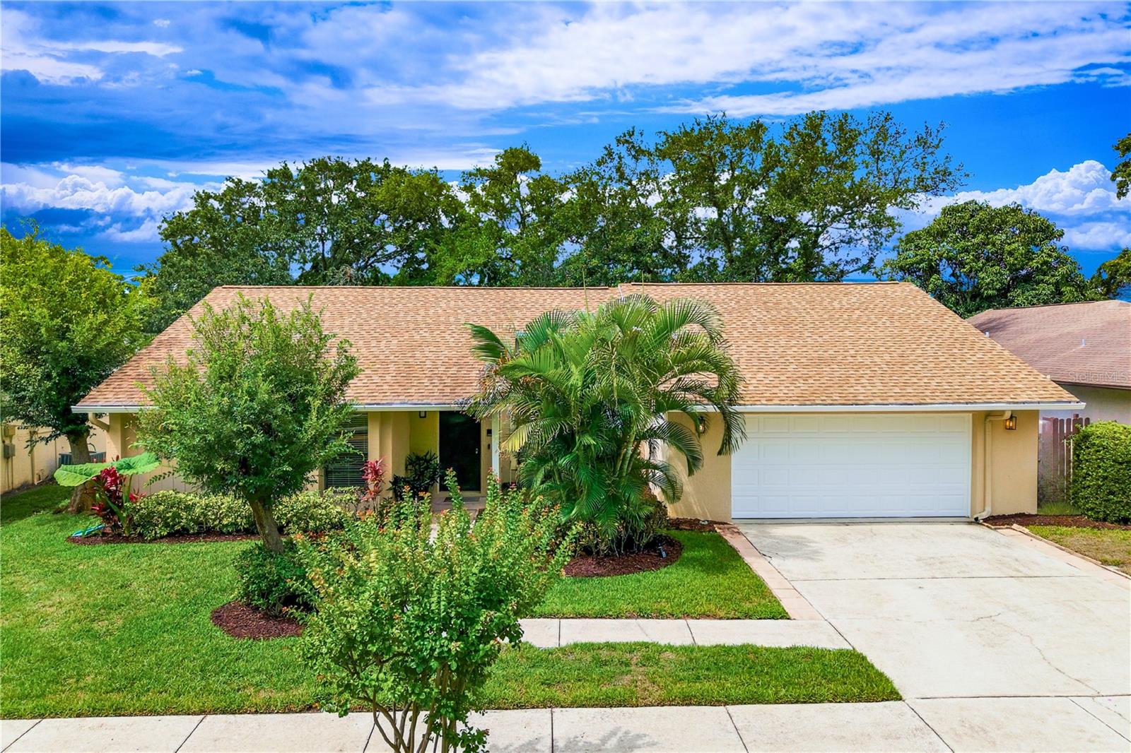 Single Family Residence in PALM HARBOR, FL - Daniel Dourado