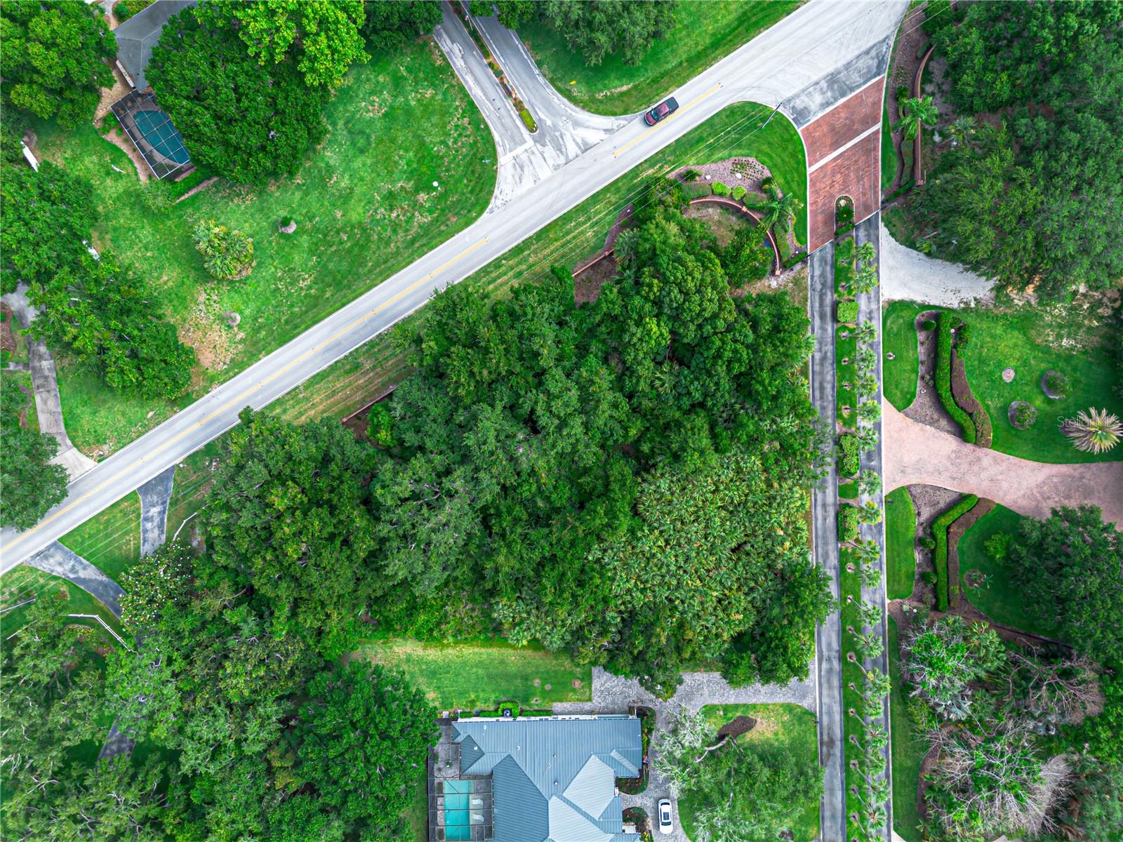  in MOUNT DORA, FL - Daniel Dourado