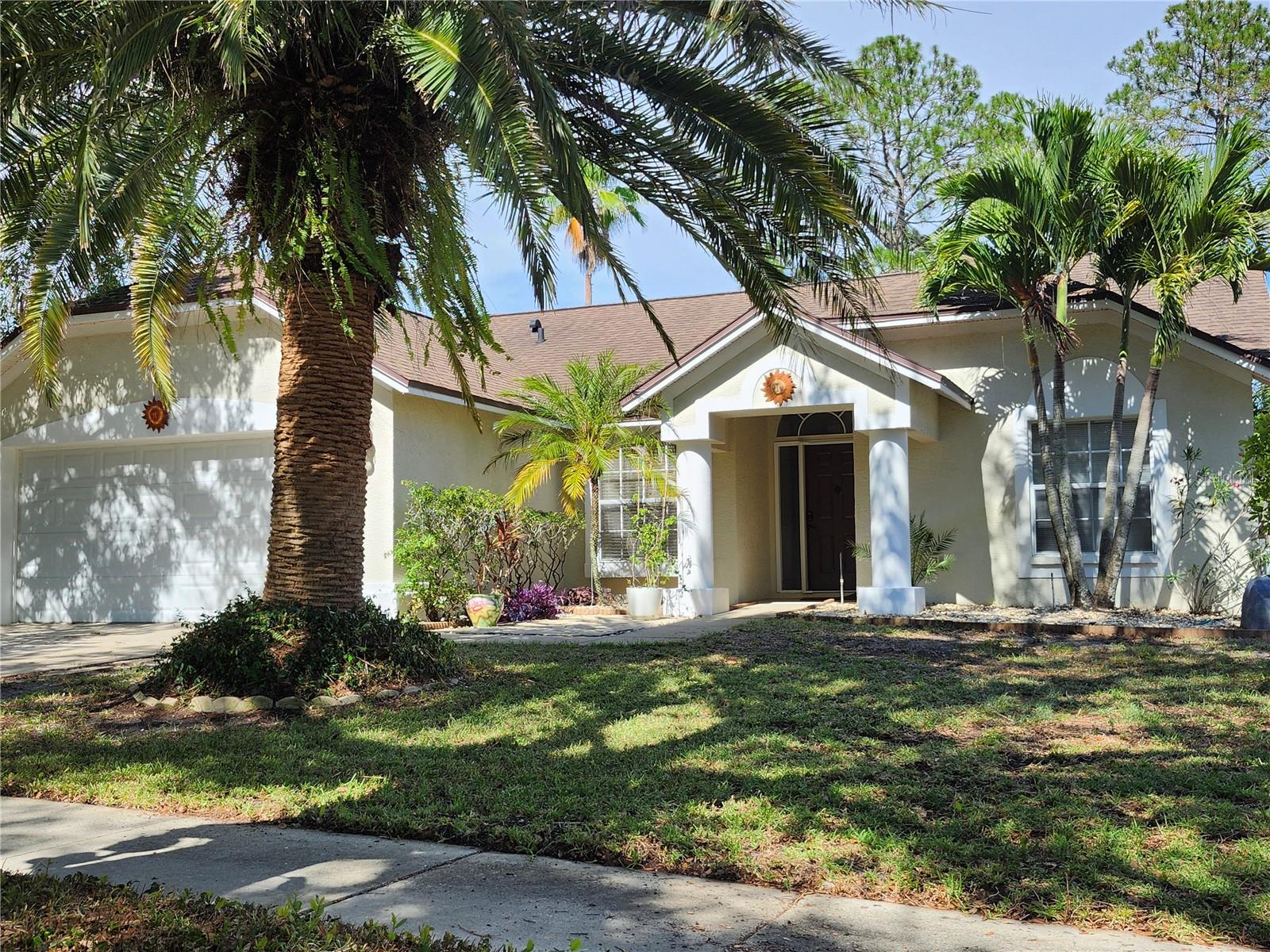 Single Family Residence in TARPON SPRINGS, FL - Daniel Dourado