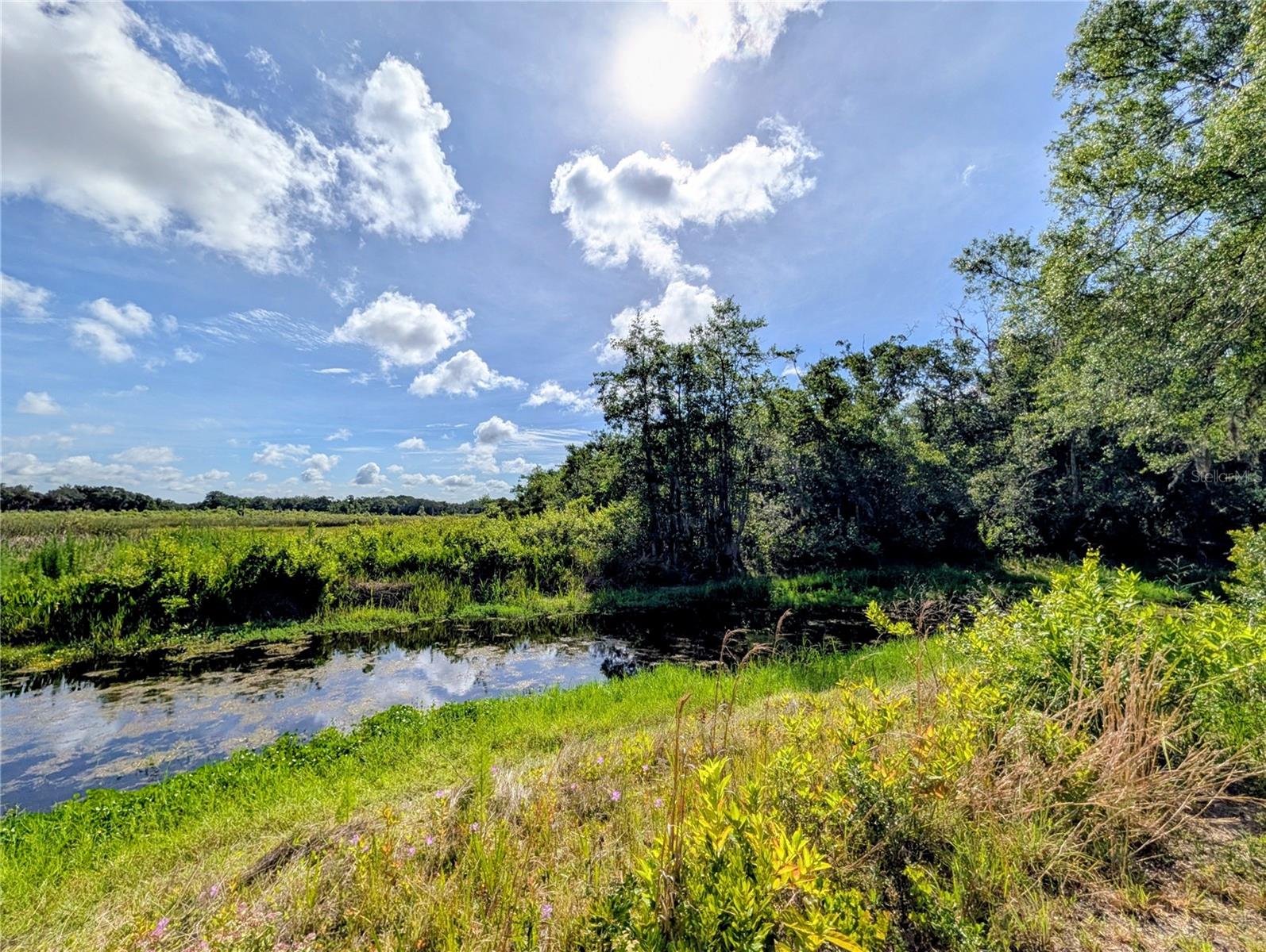  in INVERNESS, FL - Daniel Dourado