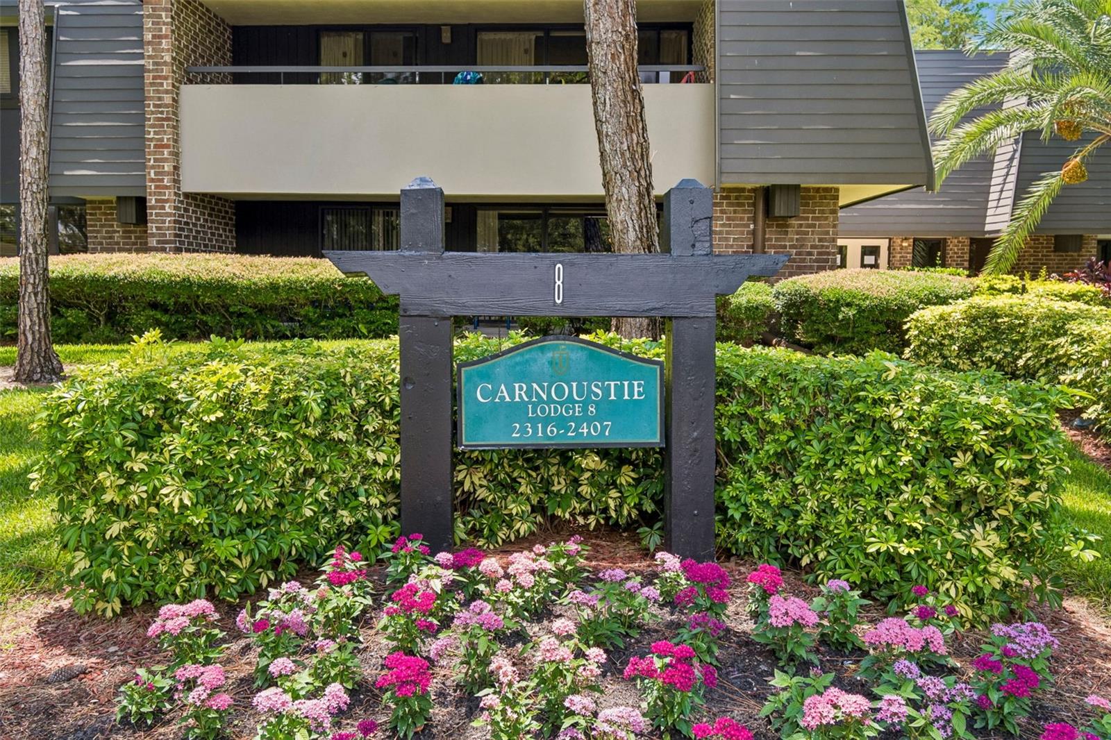 Condominium in PALM HARBOR, FL - Daniel Dourado