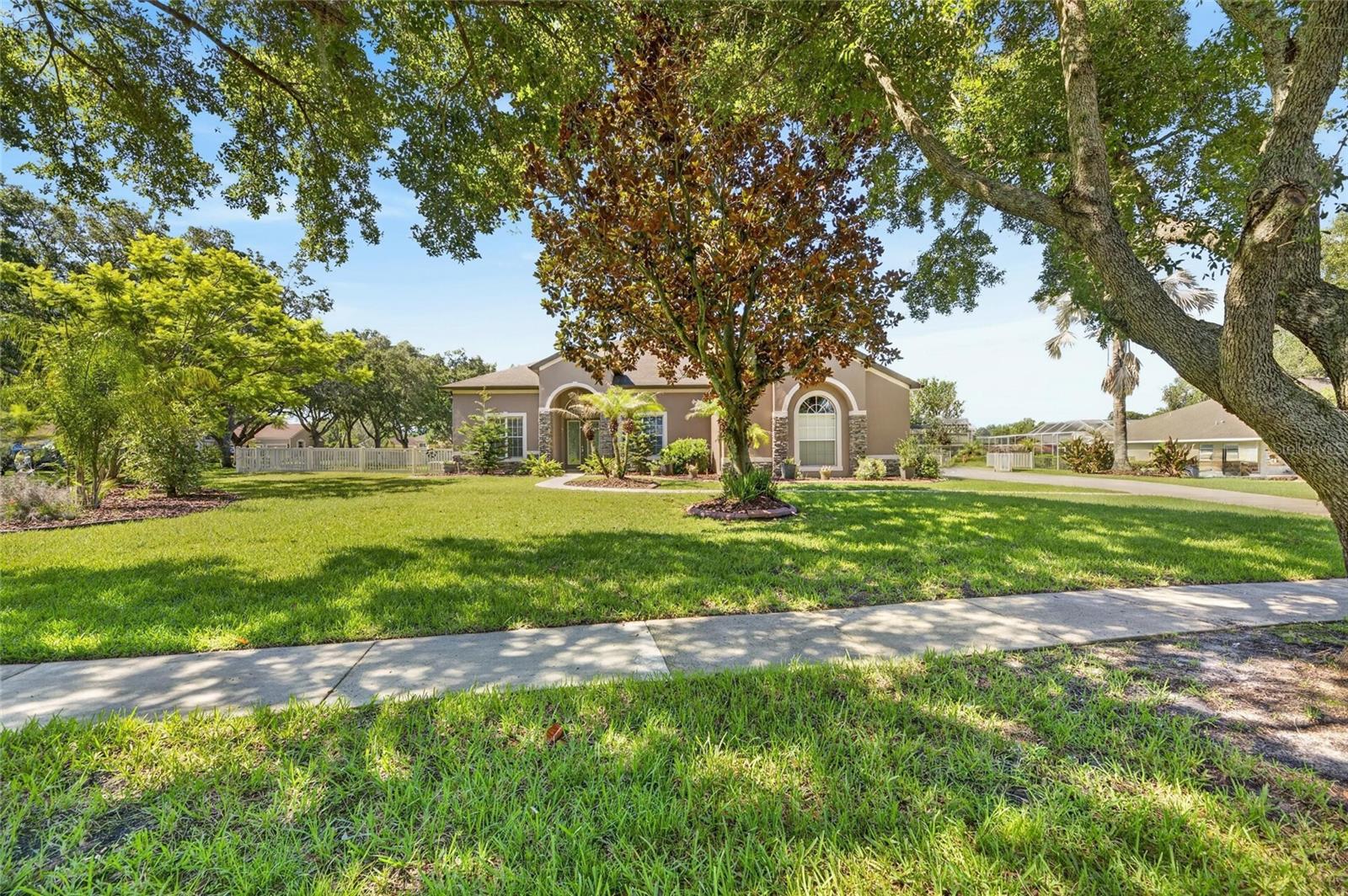 Single Family Residence in BRANDON, FL - Daniel Dourado