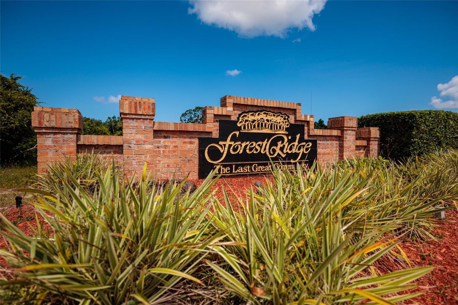 Single Family Residence in TARPON SPRINGS, FL - Daniel Dourado