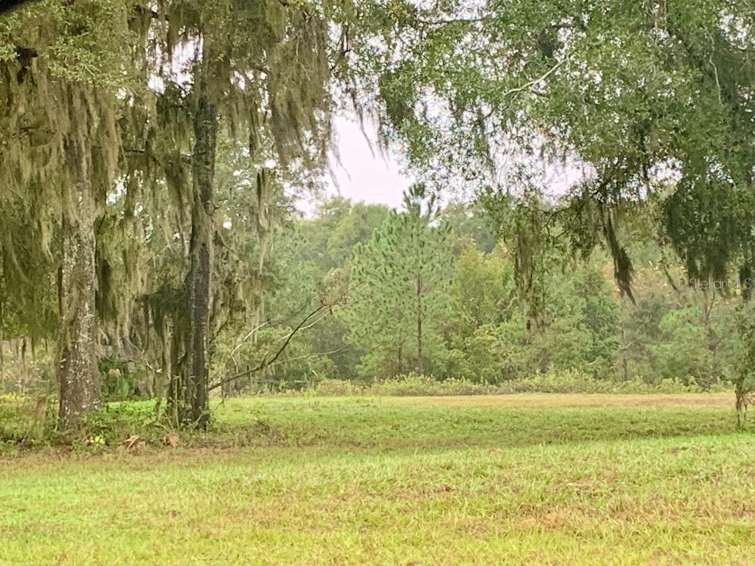  em OCALA, FL - Daniel Dourado