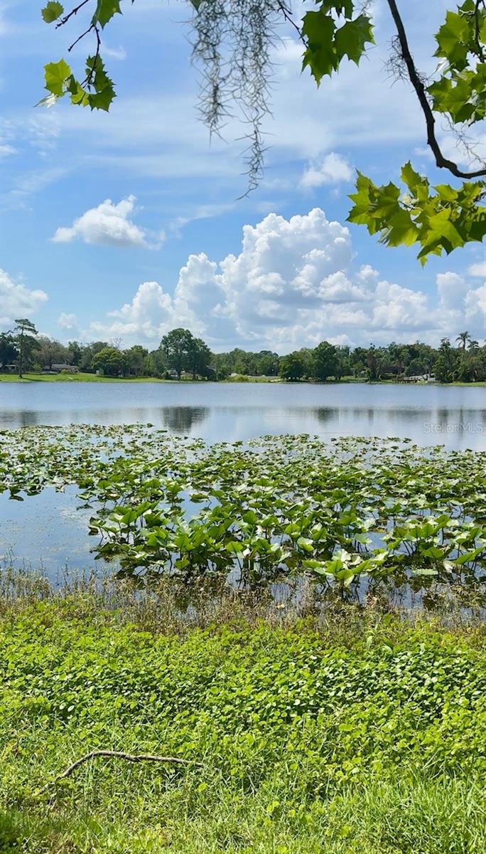 Single Family Residence in CASSELBERRY, FL - Daniel Dourado