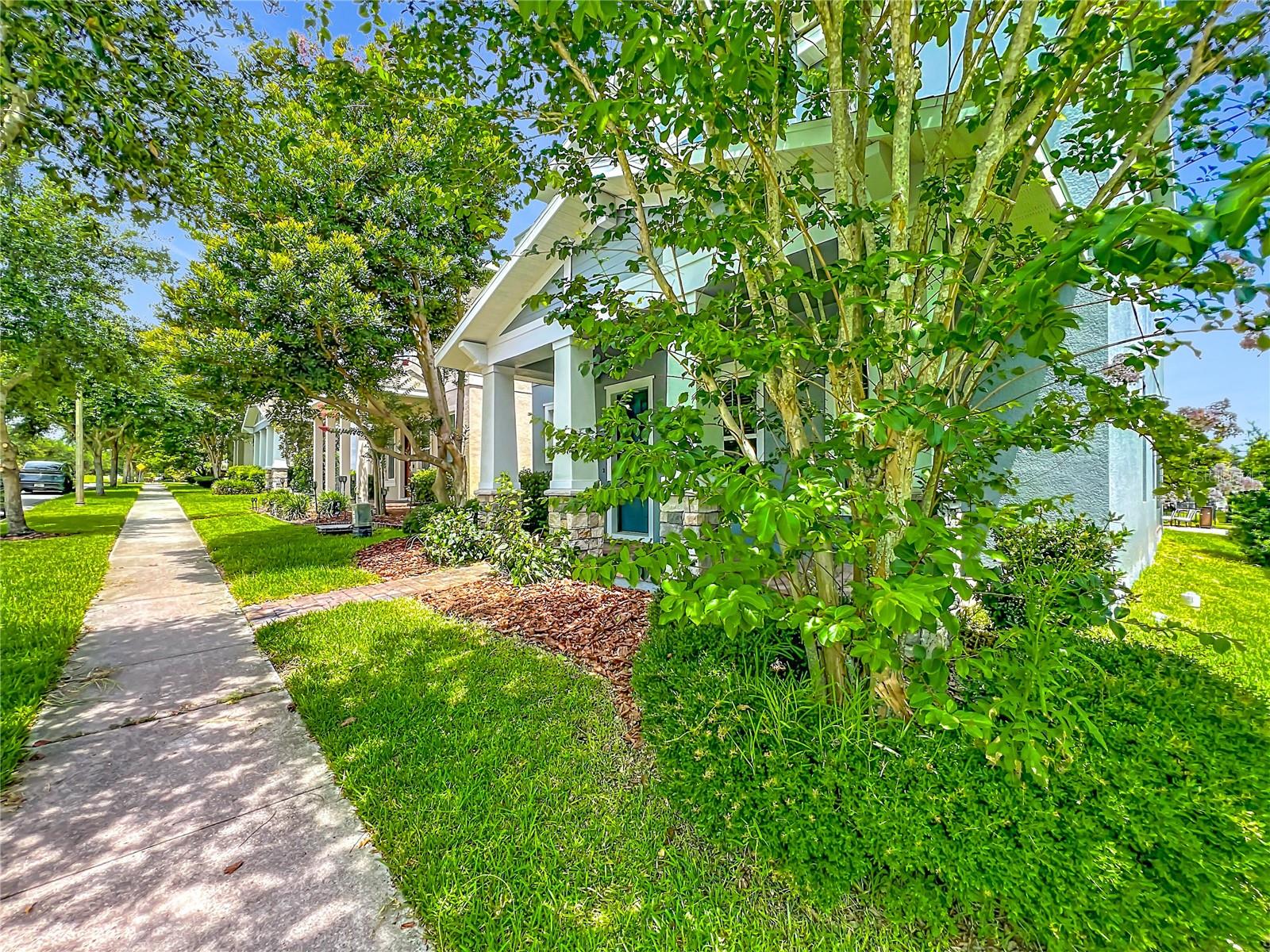 Single Family Residence em WINTER GARDEN, FL - Daniel Dourado