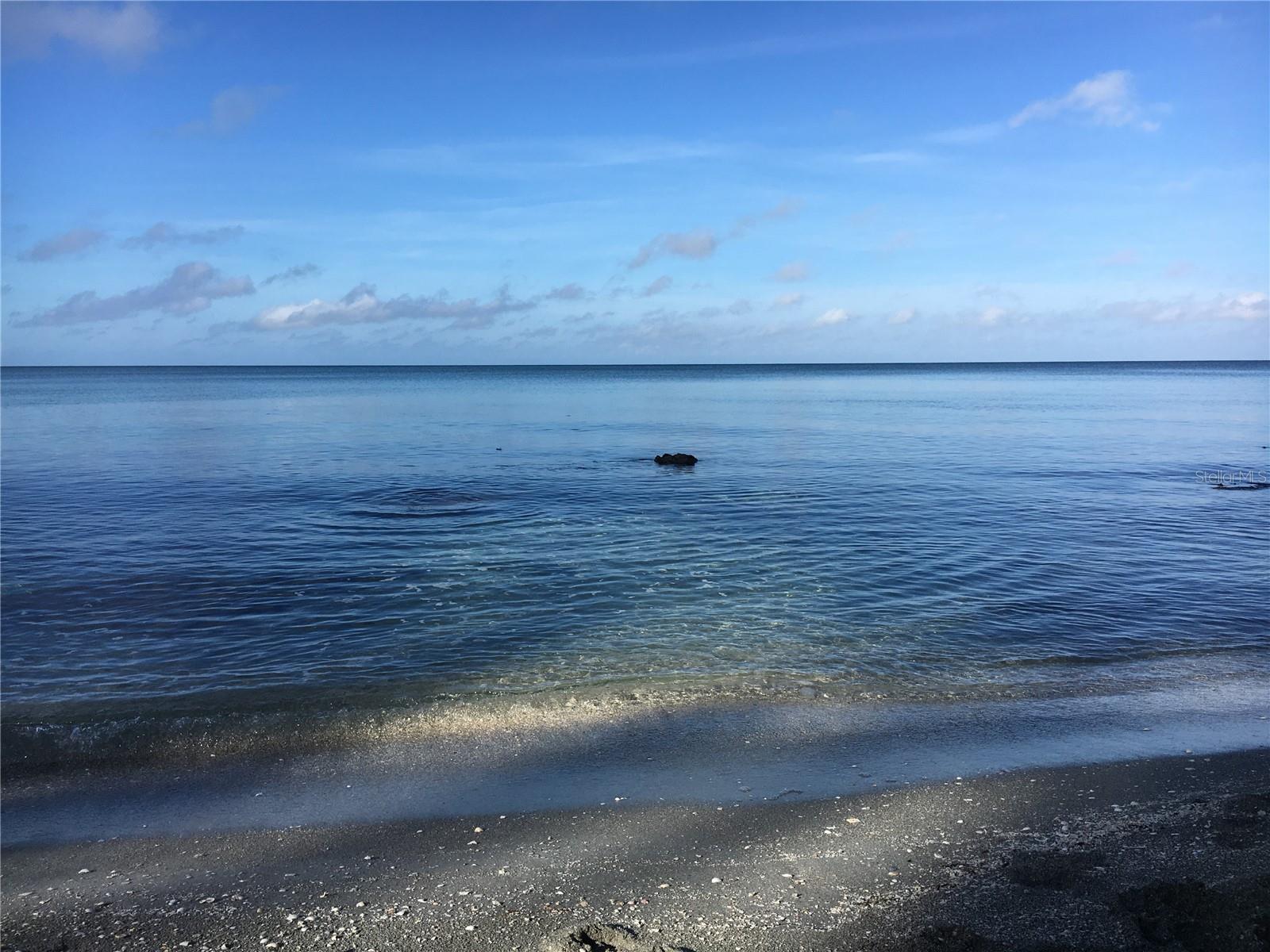  em SARASOTA, FL - Daniel Dourado