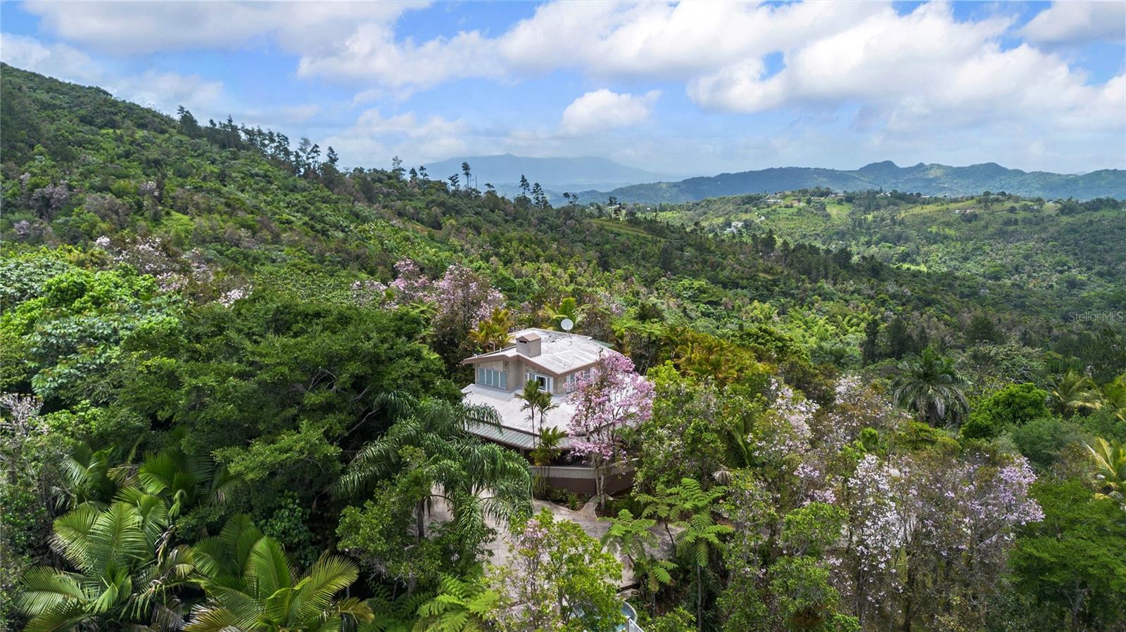 Single Family Residence in CAYEY, PR - Daniel Dourado