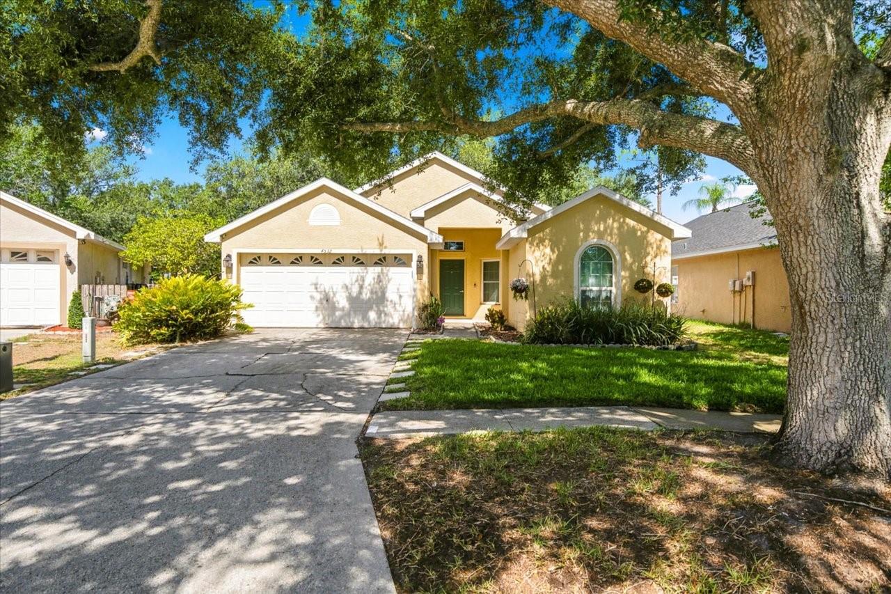 Single Family Residence in LUTZ, FL - Daniel Dourado
