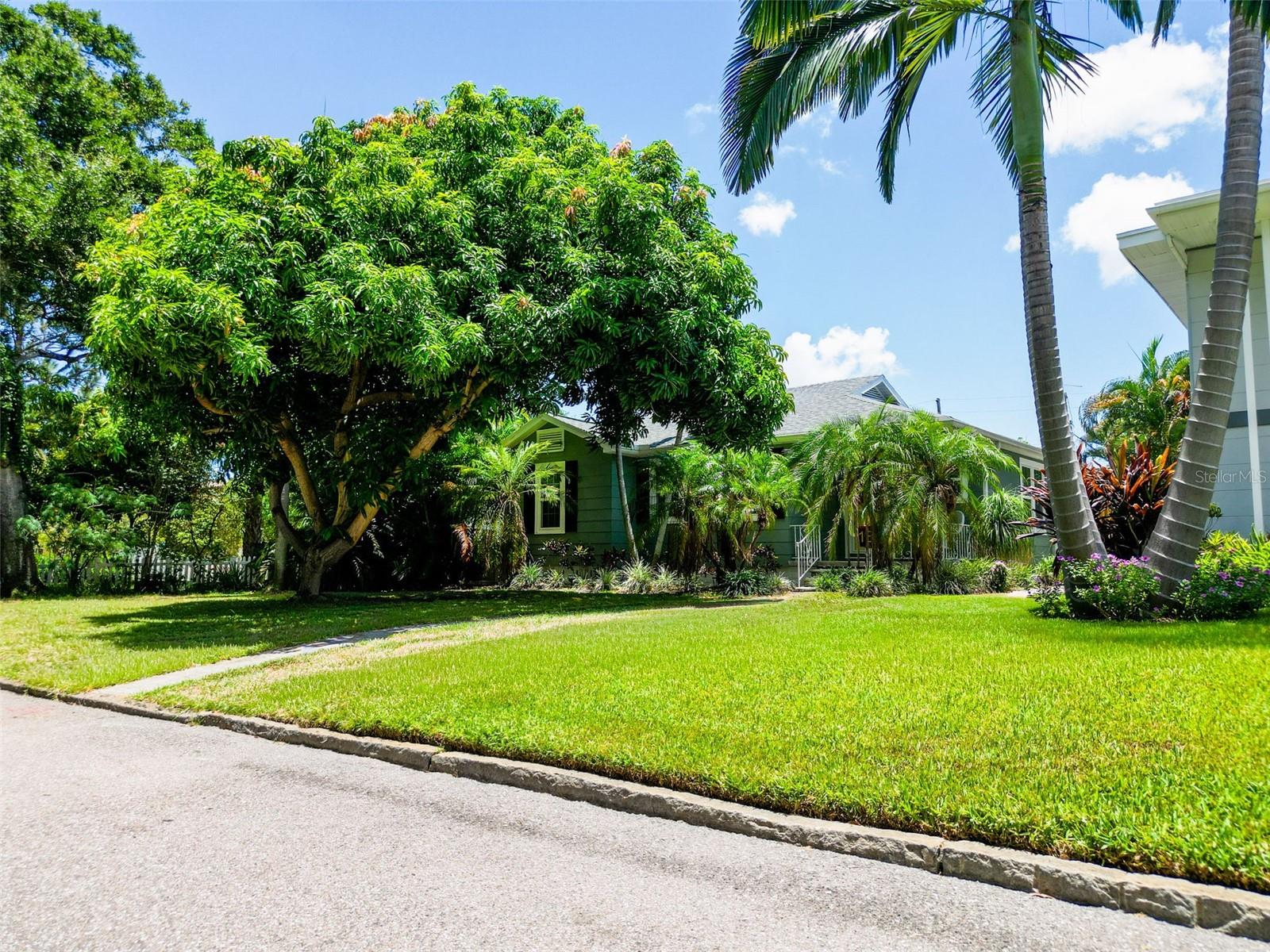 Single Family Residence in ST PETERSBURG, FL - Daniel Dourado