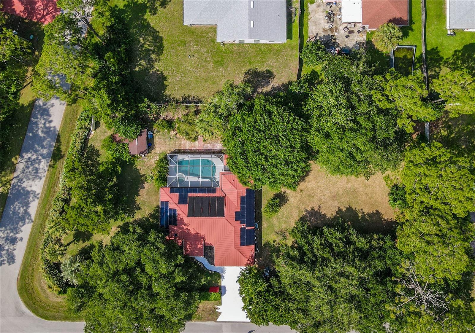 Single Family Residence em PALM COAST, FL - Daniel Dourado