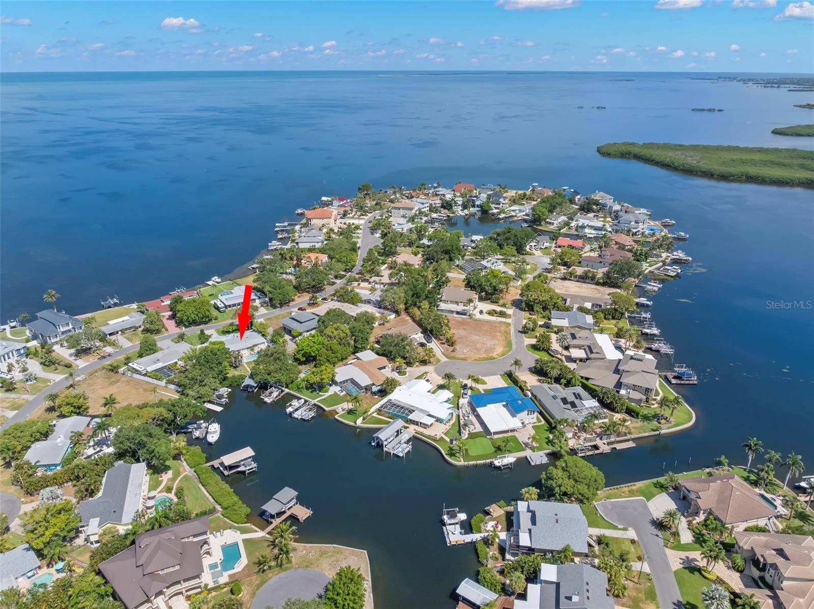 Single Family Residence em PALM HARBOR, FL - Daniel Dourado