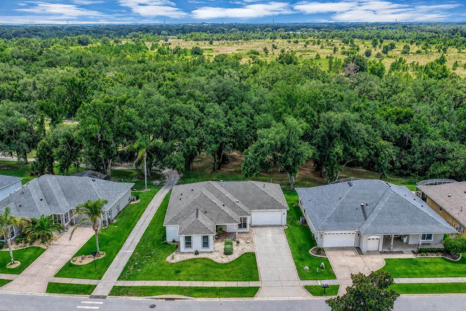 Single Family Residence in LEESBURG, FL - Daniel Dourado