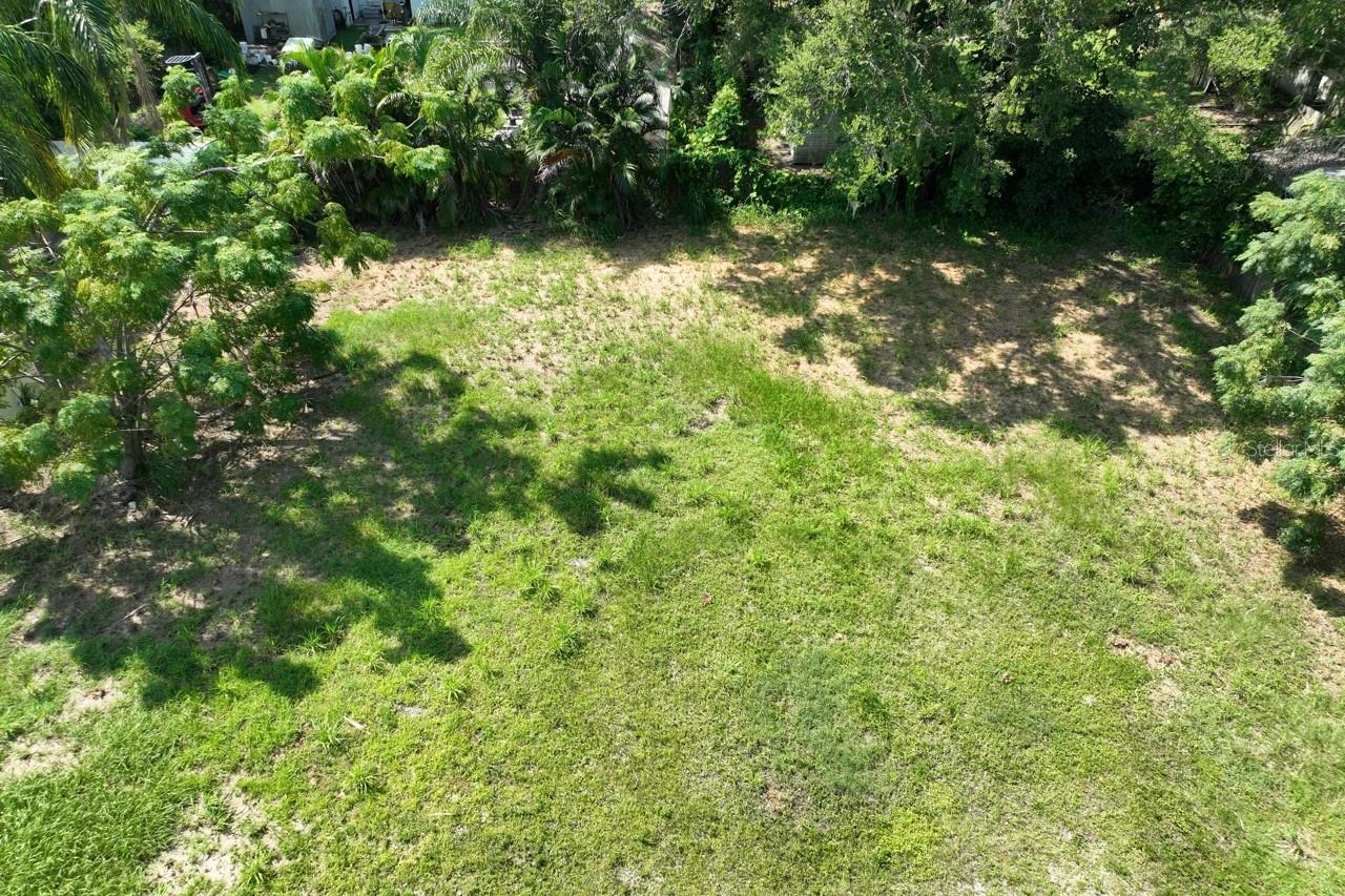  in SARASOTA, FL - Daniel Dourado