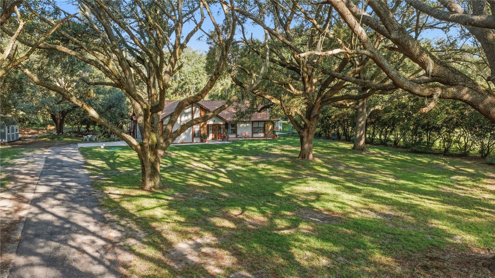 Single Family Residence in OCALA, FL - Daniel Dourado