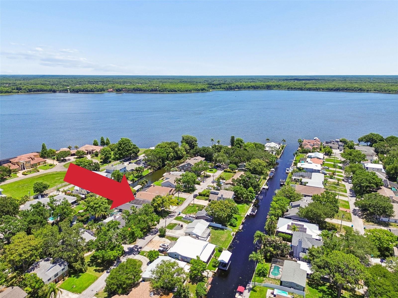 Single Family Residence in PALM HARBOR, FL - Daniel Dourado