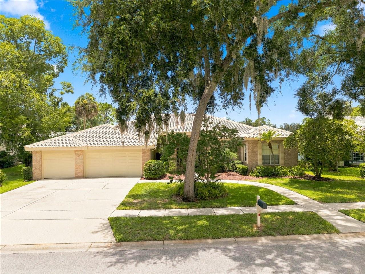 Single Family Residence in OLDSMAR, FL - Daniel Dourado