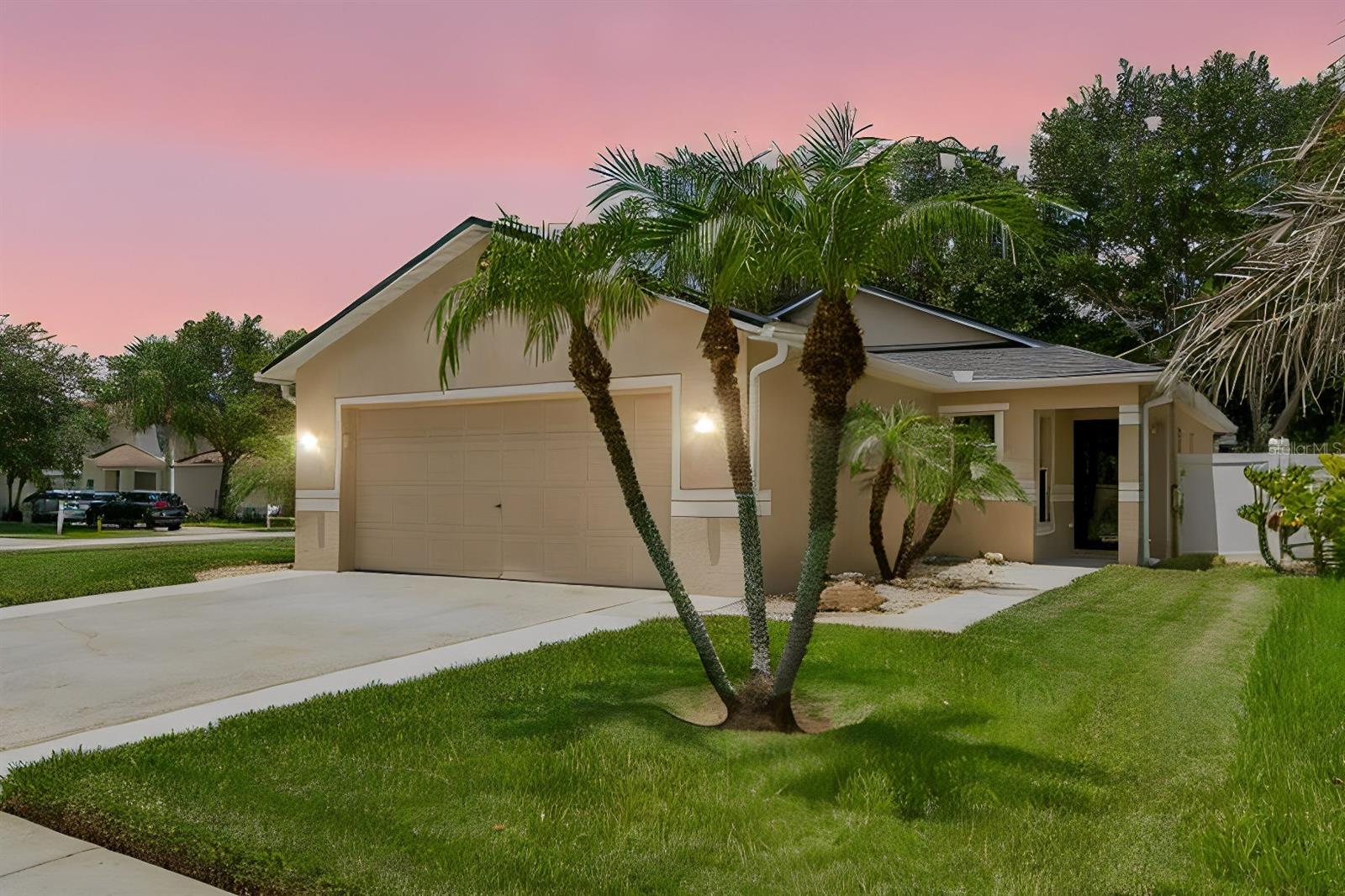 Single Family Residence in WESLEY CHAPEL, FL - Daniel Dourado